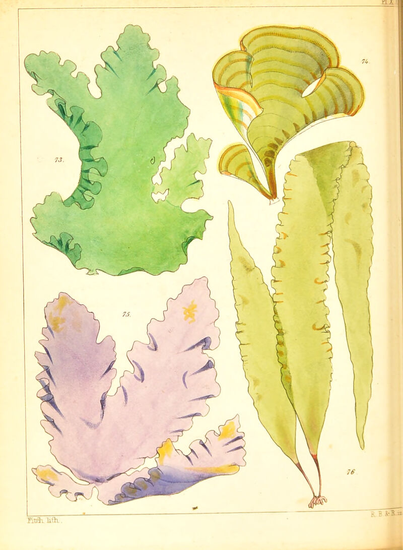 Titrh lift! R. 3 i-B -J