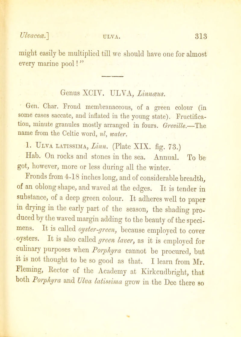 might easily be multiplied till we should have one for almost every marine pool! ” Genus XCIY. ULYA, Linnceus. Gen. Char. Frond membranaceous, of a green colour (in some cases saccate, and inflated in the young state). Fructifica- tion, minute granules mostly arranged in fours. Greville.—The name from the Celtic word, id, water. 1. Ulva latissima, Linn. (Plate XIX. fig. 73.) Hab. On rocks and stones in the sea. Annual. To be got, however, more or less during all the winter. Fronds from 4-18 inches long, and of considerable breadth, of an oblong shape, and waved at the edges. It is tender in substance, of a deep green colour. It adheres well to paper in drying in the early part of the season, the shading pro- duced by the waved margin adding to the beauty of the speci- mens. It is called oyster-green, because employed to cover oysters. It is also called green laver, as it is employed for culinary purposes when Porphyra cannot be procured, but it is not thought to be so good as that. I learn from Mr. Fleming, Rector of the Academy at Kirkcudbright, that both Porphyra and Ulva latissima grow in the Dee there so