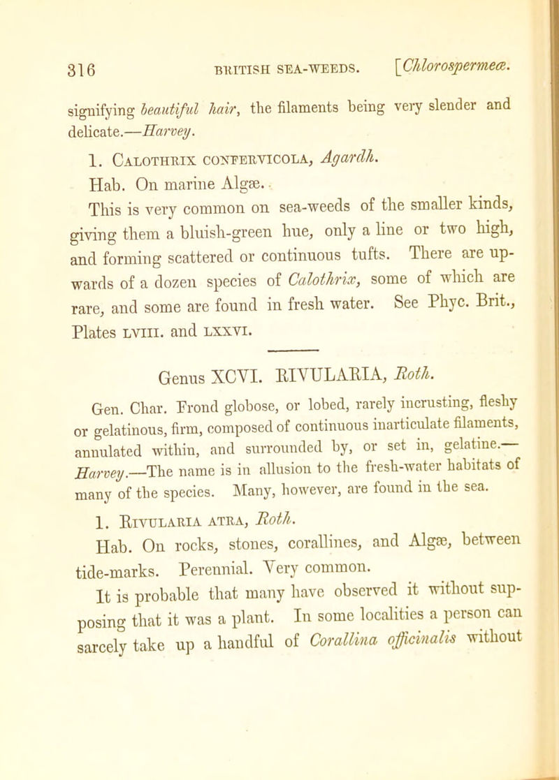 signifying beautiful hair, the filaments being very slender and delicate.—Harvey. 1. Calothrix coxeerwicola, Agardh. Hab. On marine Algae. This is very common on sea-weecls of the smaller kinds, giving them a bluish-green hue, only a line or two high, and forming scattered or continuous tufts. There aie up- wards of a dozen species of Calothrix, some of which are rare, and some are found in fresh water. See Phyc. Brit., Plates lviii. and lxxvi. Genus XCVI. BIVULABIA, Roth. Gen. Char. Prond globose, or lobed, rarely incrusting, fleshy or gelatinous, firm, composed of continuous inarticulate filaments, annulated within, and surrounded by, or set in, gelatine. Harvey.—The name is in allusion to the fresh-water habitats of many of the species. Many, however, are found in the sea. 1. Bivularia atra, Roth. Hab. On rocks, stones, corallines, and Algae, between tide-marks. Perennial. Very common. It is probable that many have observed it without sup- posing that it was a plant. In some localities a person can sarcely take up a handful of Corallina officinalis without