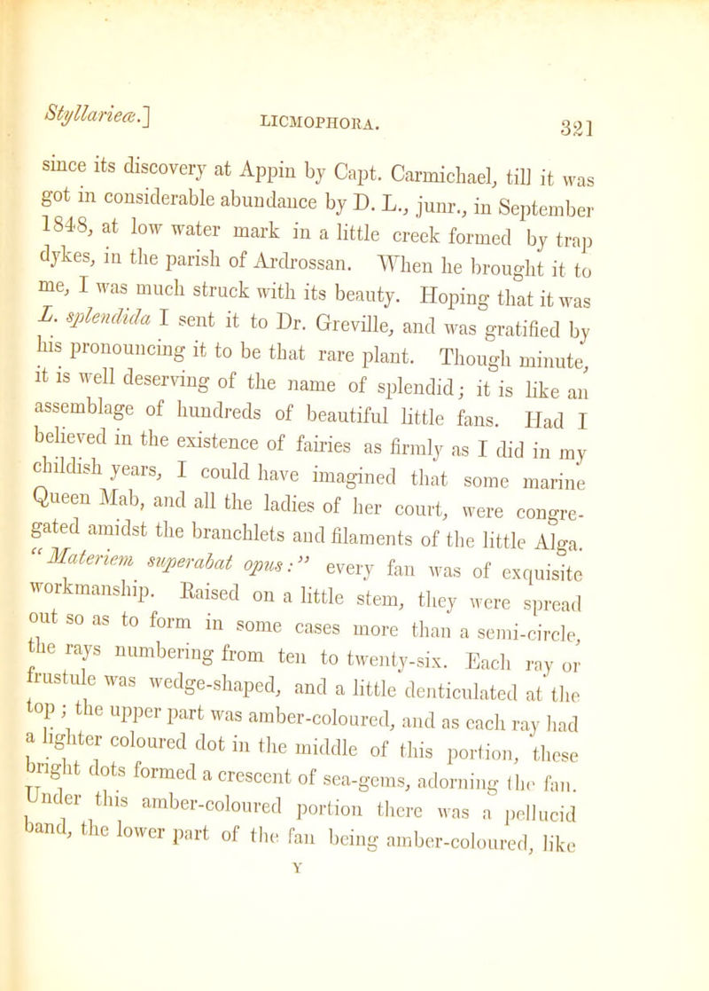 Styllariea?.] licmophoka. 321 since its discovery at Appin by Capt. Carmichael, til] it was got m considerable abundance by D. L, junr., in September ISIS, at low water mark in a little creek formed by trap dykes, in the parish of Ardrossan. When he brought it to me, I was much struck with its beauty. Hoping that it was . splenclida I sent it to Dr. Greville, and was gratified by his pronouncing it to be that rare plant. Though minute it is well deserving of the name of splendid; it is like an assemblage of hundreds of beautiful little fans. Had I believed m the existence of fairies as firmly as I did in my childish years, I could have imagined that some marine Queen Mab, and all the ladies of her court, were congre- gated amidst the branchlets and filaments of the little Alga. “Matenem. superabat opus:” every fan was of exquisite wor manship. Raised on a little stem, they were spread out so as to form in some cases more than a semi-circle he rays numbering from ten to twenty-six. Each ray or rustule was wedge-shaped, and a little denticulated at the top ; the upper part was amber-coloured, and as each ray had a lighter coloured dot in the middle of this portion, these right dots formed a crescent of sea-gems, adorning the fan. nder this amber-coloured portion there was a pellucid band, the lower part of the fan being amber-coloured, like