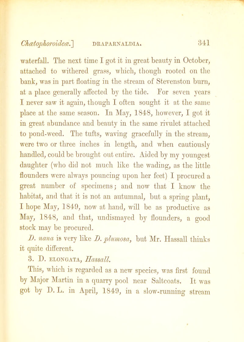 waterfall. The next time I got it in great beauty in October, attached to withered grass, which, though rooted on the bank, was in part floating in the stream of Stevenston burn, at a place generally affected by the tide. Tor seven years I never saw it again, though I often sought it at the same place at the same season. In May, 1848, however, I got it in great abundance and beauty in the same rivulet attached to pond-weed. The tufts, waving gracefully in the stream, were two or three inches in length, and when cautiously handled, could be brought out entire. Aided by my youngest daughter (who did not much like the wading, as the little flounders were always pouncing upon her feet) I procured a great number of specimens; and now that I know the habitat, and that it is not an autumnal, but a spring plant, I hope May, 1849, now at hand, will be as productive as May, 1848, and that, undismayed by flounders, a good stock may be procured. I). nana is very like I), plumosa, but Mr. Hassall thinks it quite different. 3. D. elongata, Hassall. This, which is regarded as a new species, was first found by Major Martin in a quarry pool near Saltcoats. It was got by D. L. in April, 1849, in a slow-running stream