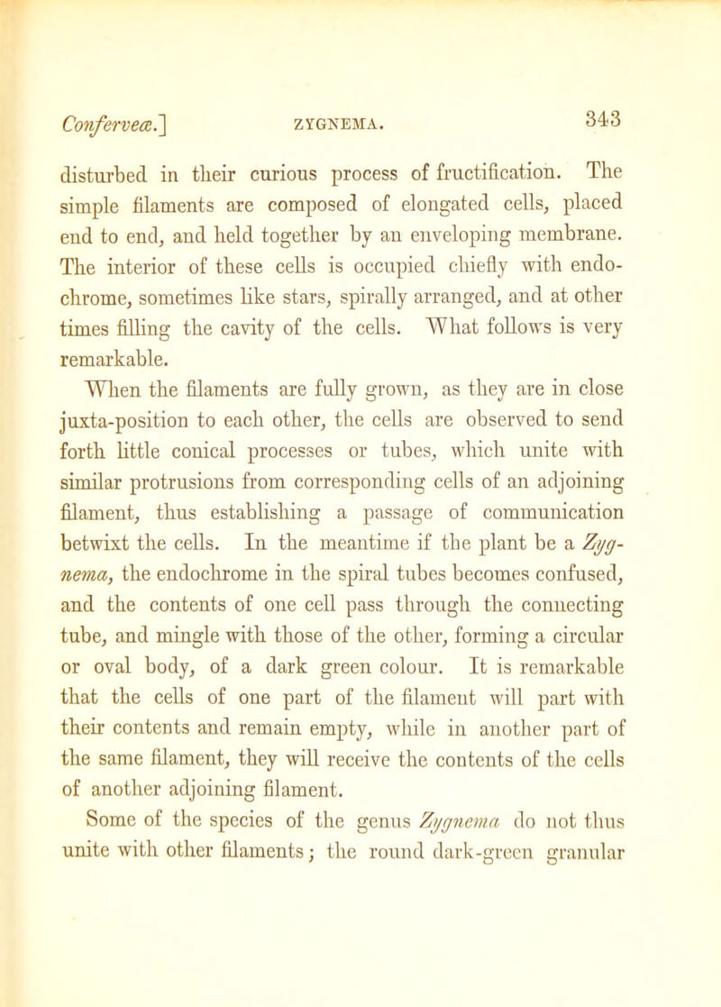 Conferveai.~\ ZYGNEMA. disturbed in their curious process of fructification. The simple filaments are composed of elongated cells, placed end to end, and held together by an enveloping membrane. The interior of these cells is occupied chiefly with endo- chrome, sometimes like stars, spirally arranged, and at other times filling the cavity of the cells. What follows is very remarkable. When the filaments are fully grown, as they are in close juxta-position to each other, the cells are observed to send forth little conical processes or tubes, which unite with similar protrusions from corresponding cells of an adjoining filament, thus establishing a passage of communication betwixt the cells. In the meantime if the plant be a Zyg- nema, the endochrome in the spiral tubes becomes confused, and the contents of one cell pass through the connecting tube, and mingle with those of the other, forming a circular or oval body, of a dark green colour. It is remarkable that the cells of one part of the filament will part with their contents and remain empty, while in another part of the same filament, they will receive the contents of the cells of another adjoining filament. Some of the species of the genus Zygnema do not thus unite with other filaments; the round dark-green granular