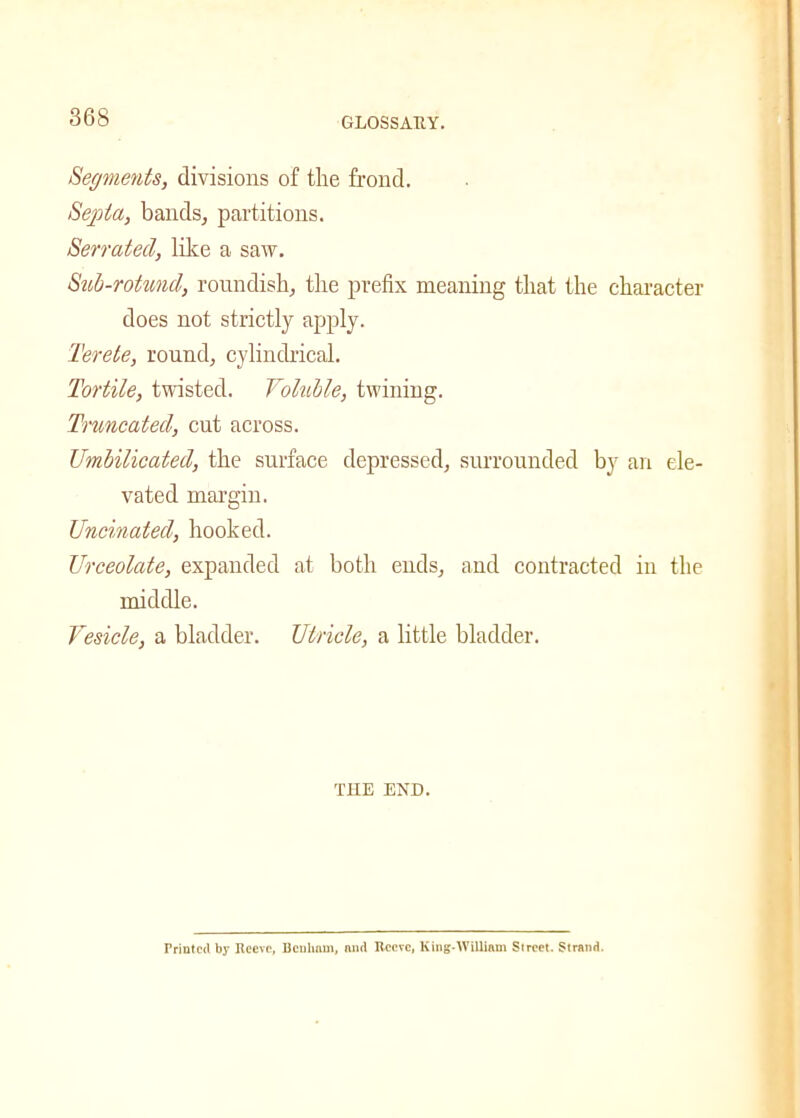 Segments, divisions of the frond. Septa, bands, partitions. Serrated, like a saw. Sub-rotund, roundish, the prefix meaning that the character does not strictly apply. Terete, round, cylindrical. Tortile, twisted. Voluble, twining. Truncated, cut across. Umbilicated, the surface depressed, surrounded by an ele- vated margin. Uncinated, hooked. Urceolate, expanded at both ends, and contracted in the middle. Vesicle, a bladder. Utricle, a little bladder. THE END. Printed by Reeve, Bculinm, nnd Reeve, King-William Street. Strand.
