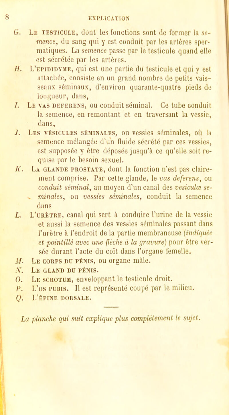 8 G. Le testicule, dont les I'onctions sont de former la se- mence, du sang qiii y est conduit par les arleres sper- matiques. La sememe passe par le testicule quand elle est secrdtee par les arteres. //. L’epididyme, qui est une partie du testicule et qui y est uUacliee, consiste en un grand nombre de petits vais- seaux sdniinaux, d’environ quaranle-quatre pieds de longueur, dans, I. Le vas defep.ens, ou conduit sdminal. Ce tube conduit la semence, en remontant et en traversant la vessie, dans, J. Les vEsicules sEminales, ou vessies seminales, ou la semence melangee d’un fluide secrete par ces vessies, est suppos4e y elre deposee jusqu’ci ce qu’elle soit re- quise par le besoin sexuel. K. La glande prostate, dont la fonction n’est pas claire- ment comprise. Par celle glande, le vas deferens, ou conduit seminal, an moyen d’un canal des vesiculce se- ^ minales, ou vessies seminales, conduit la semence dans L. L'urEtre, canal qui sert a conduire Purine de la vessie et aussi la semence des vessies seminales passant dans I’uretre Pendroit de la partie membraneuse (indiquee et pointille avec une fleche d la gravure) pour etre ver- see durant Pacte du coit dans Porgane femelle. .If. Le corps du pEnis, ou organe male. ,V. Le gland du pEnis. O. Le scrotum, enveloppant le testicule droit. P. L’os PUBIS. II est repr^sente coupe par le milieu. (>. L’Epine dorsale. La planche qui suit explique plus completement le sujet.
