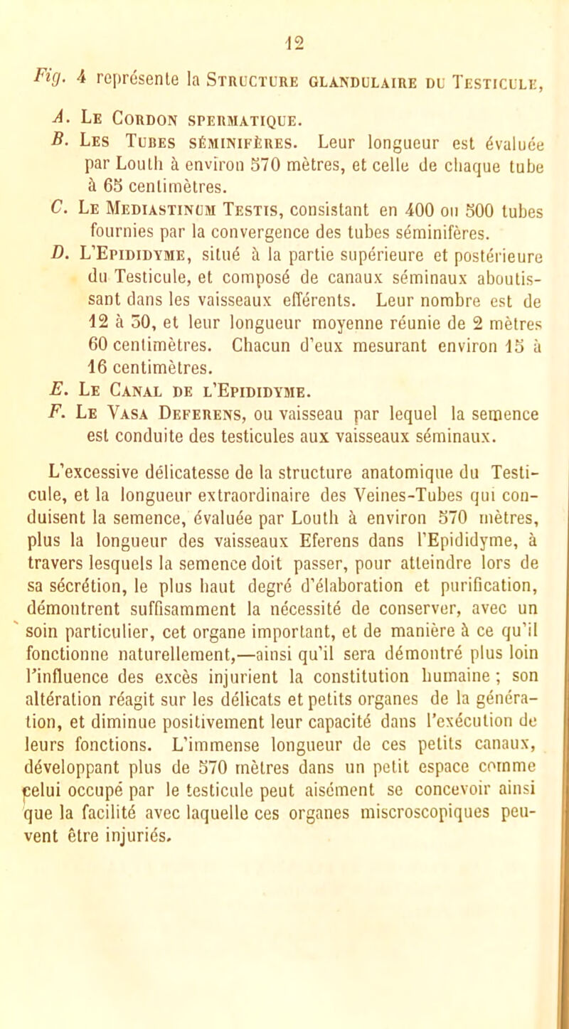 -12 Fig. 4 represenle la Structure glandulaire du Testicule, Le Cordon spermatique. B. Les Tubes sfiMiNirtRES. Leur longueur est 6valuee par Louth a environ 570 metres, et celle de cliaque tube ^ 65 centimetres. C. Le Mediastinum Testis, consistant en 400 on 500 tubes fournies par la convergence des tubes s^miniferes. D. L’Epididyme, situd it la partie superieure et posterieure du Testicule, et compost de canaux seminaux aboutis- sant dans les vaisseaux efferents. Leur nombre est de 12 a 50, et leur longueur moyenne reunie de 2 metres 60 centimetres. Chacun d’eux mesurant environ 15 a 16 centimetres. E. Le Canal de l’Epididyme. F. Le Vasa Deferens, ou Yaisseau par lequel la semence est conduite des testicules aux vaisseaux seminaux. L’excessive delicatesse de la structure anatomique du Testi- cule, et la longueur extraordinaire des Veines-Tubes qui con- duisent la semence, dvalude par Louth i environ 570 metres, plus la longueur des vaisseaux Eferens dans I’Epididyme, a travers lesquels la semence doit passer, pour atteindre lors de sa secretion, le plus haut degr(5 d’elaboration et purification, demontrent suffisamment la necessite de conserver, avec un ' soin particulier, cet organe important, et de maniere k ce qu’il fonctionne naturellement,—ainsi qu’il sera d^montre plus loin rinfluence des exces injurient la constitution huinaine; son alteration rdagit sur les delicats et petits organes de la genera- tion, et diminue positivement leur capacity dans I’execiition de leurs fonctions. L’immense longueur de ces petits oinaux, ddveloppant plus de 570 metres dans un petit espace comme |selui occupe par le testicule peut aisement se concevoir ainsi que la facility avec laquelle ces organes miscroscopiques peu- vent etre injuries.