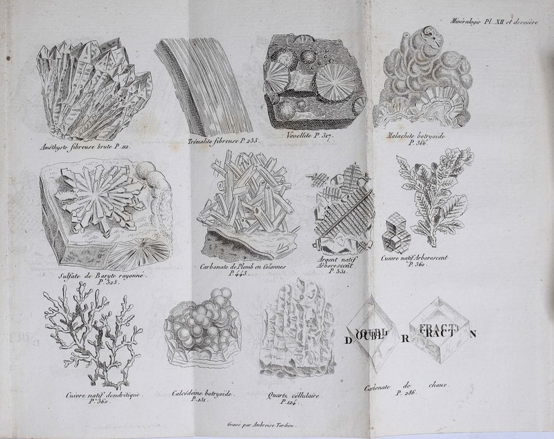 Mtnerahu/te Pl JŒ et per/uè/ Améthystes fibreuse brute P Ji2. Trémalite fbreuse P 2Üo. J'avePite P. 3i~, Jfa/ae/ute botn/oiPe P. 366\ Sulfate Se B an/te rauonne ^ - PAvA. ‘ Carbonate SePbomb en Colonnes P A 4P Arc/ent natif Arborescent P 5ài. Cuivre natifArboresce/it P. 36o ■ \ S f s if I .. .„>• -J s I .-j i %, l tM 1 fÿ 4 ppt- yn* 5* . 33 =% . : ( uivre natif i/enibitraue P.CUC . ( a/ce'Pomebotri/oide- fuarfri ce Pu hure Carbonates Pc c/uui.v 2o(> ■ (rraoe f>ar-Jmltroure fTari/eu .