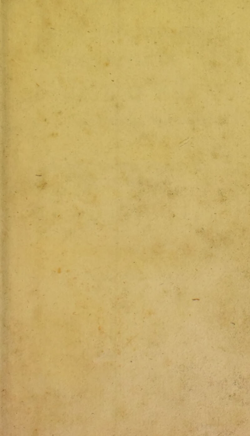 .. - ^ 4. s- * A * ♦ » • - •A*' W'’ir''v . ' feiL-' ' V 1?*- *. ; - • ^ ^ ' ' v ^T'. 'Ji-f *> .*.* '' W r ^ys- ■ -.5 ■ *. 7 *4 t ■' '% * V , - ^ 7 ’ ‘ ' / - 0 ' ' ■'••'i. ^v'.-.il ,1 -^. y‘- ,(r4 _ Vt -t>, , ' J-t