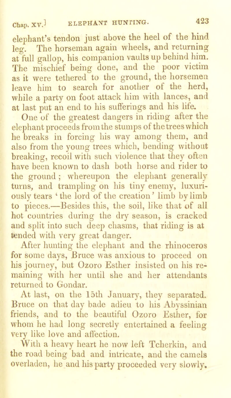 ELEPHAXT HUNTIN-G. elephant’s tendon just above the heel of the hind leg. The horseman again wheels, and returning at full gallop, his companion vaults up behind him. The mischief being done, and the poor victim as it were tethered to the ground, the horsemen leave him to search tor another of the herd, while a party on foot attack him with lances, and at last put an end to his sufferings and his life. One of the greatest dangers in riding after the elephant proceeds from the stumps of the trees which he breaks in forcing his way among them, and also from the young trees wliich, bending without breaking, recoil with such violence that they often have been known to dash both horse and rider to the ground ; whereupon the elephant generally turns, and trampling on his tiny enemy, luxuri- ously tears ‘the lord of the creation’ limb by limb to pieces.—Besides this, the soil, like that of all hot countries during the dry season, is cracked and split into such deep chasms, that riding is at tended with very great danger. After hunting the elephant and the rhinoceros for some days, Bruce was anxious to proceed on Iris journey, but Ozoro Esther insisted on his re- maining with her until she and her attendants returned to Gondar. At last, on the 15th January, they separated. Bruce on that day bade adieu to his Abyssinian friends, and to the beautiful Ozoro Esther, for whom he had long secretly entertained a feeling very like love and affection. With a heavy heart he now left Tcherkin, and the road being bad and intricate, and the camels overladen, he and his party proceeded very slowly.