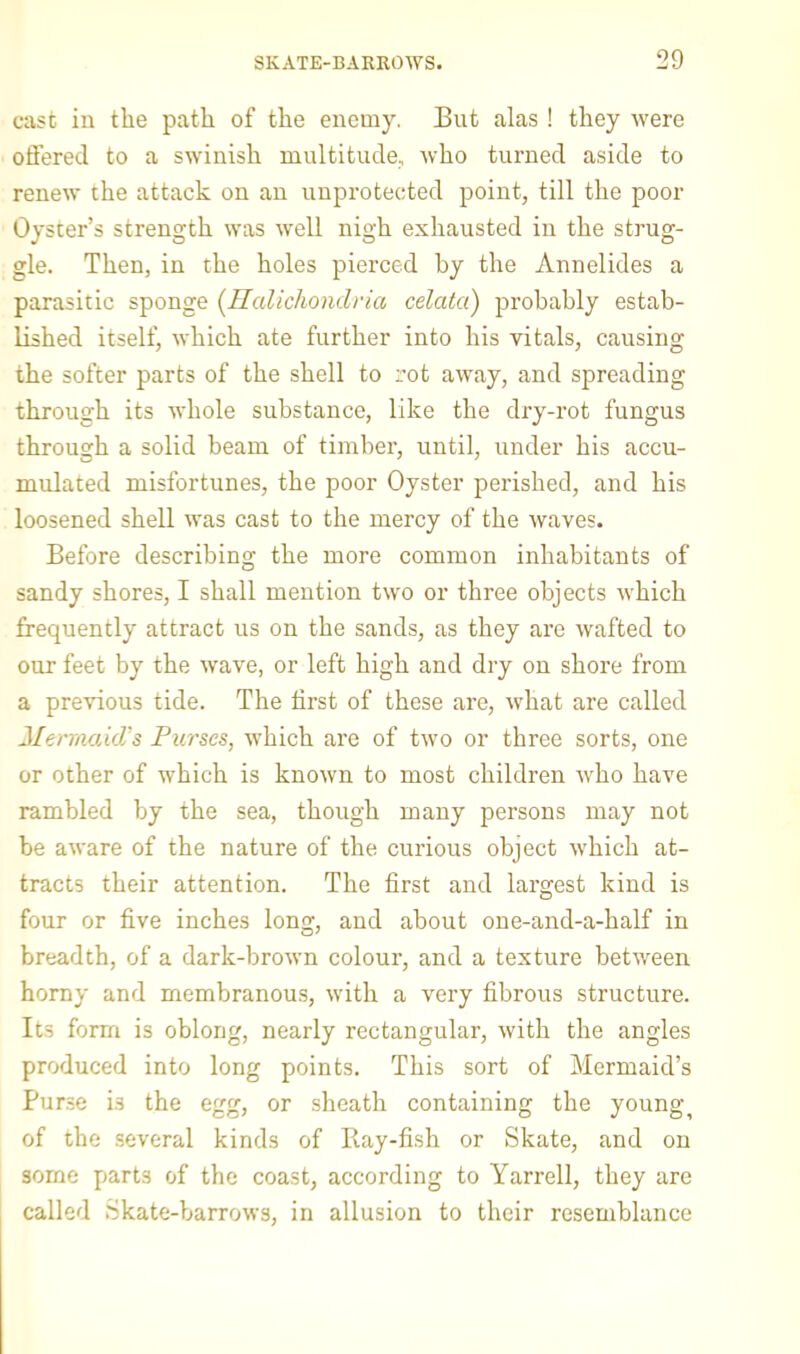 cast in the path of the enemy. But alas ! they were offered to a swinish multitude, who turned aside to renew the attack on an unprotected point, till the poor Oyster’s strength was well nigh exhausted in the strug- gle. Then, in the holes pierced by the Annelides a parasitic sponge (llalichondria celata) probably estab- lished itself, which ate further into his vitals, causing the softer parts of the shell to rot away, and spreading through its whole substance, like the dry-rot fungus through a solid beam of timber, until, under his accu- mulated misfortunes, the poor Oyster perished, and his loosened shell was cast to the mercy of the waves. Before describing the more common inhabitants of sandy shores, I shall mention two or three objects which frequently attract us on the sands, as they are wafted to our feet by the wave, or left high and dry on shore from a previous tide. The first of these are, what are called Mermaids Purses, which are of two or three sorts, one or other of which is known to most children who have rambled by the sea, though many persons may not be aware of the nature of the curious object which at- tracts their attention. The first and largest kind is four or five inches long, and about one-and-a-half in breadth, of a dark-brown colour, and a texture between horny and membranous, with a very fibrous structure. Its form is oblong, nearly rectangular, with the angles produced into long points. This sort of Mermaid’s Purse is the egg, or sheath containing the youngs of the several kinds of Ray-fish or Skate, and on some parts of the coast, according to Yarrell, they are called Skate-barrows, in allusion to their resemblance