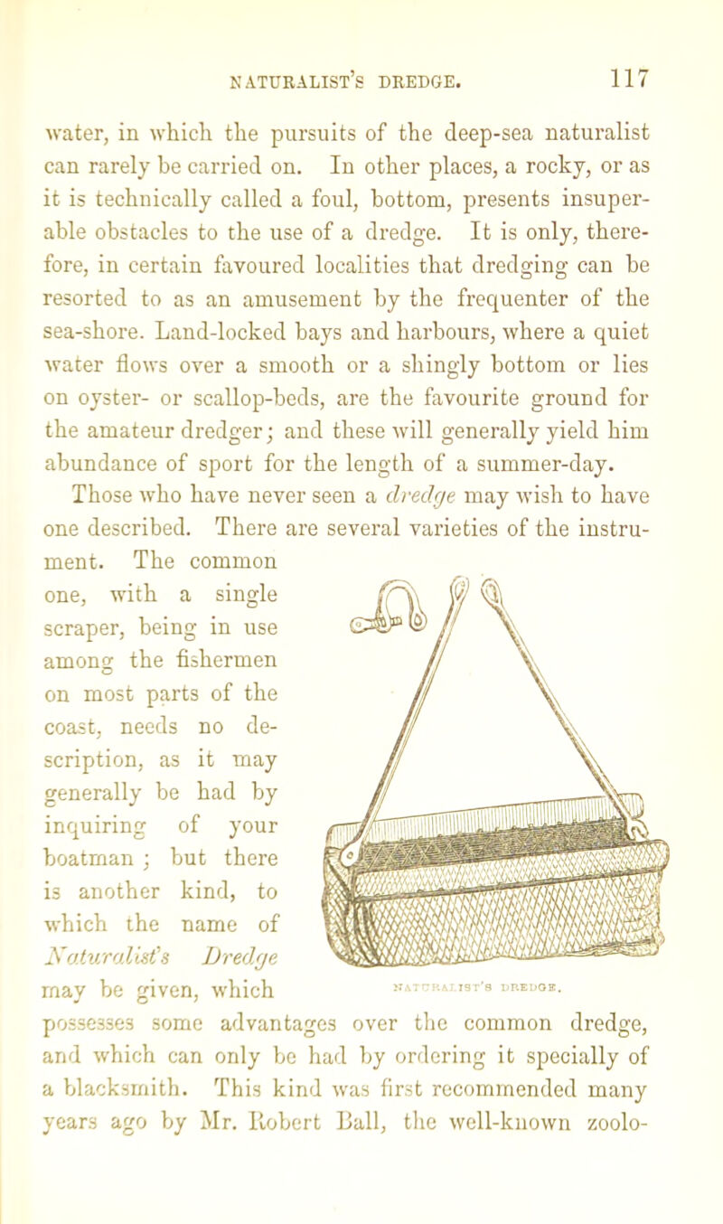 water, in which the pursuits of the deep-sea naturalist can rarely be carried on. In other places, a rocky, or as it is technically called a foul, bottom, presents insuper- able obstacles to the use of a dredge. It is only, there- fore, in certain favoured localities that dredging can be resorted to as an amusement by the frequenter of the sea-shore. Land-locked bays and harbours, where a quiet water flows over a smooth or a shingly bottom or lies on oyster- or scallop-beds, are the favourite ground for the amateur dredger; and these will generally yield him abundance of sport for the length of a summer-day. Those who have never seen a dredge may ivish to have one described. There are several varieties of the instru- ment. The common one, with a single scraper, being in use among the fishermen on most parts of the coast, needs no de- scription, as it may generally be had by inquiring of your boatman ; but there is another kind, to which the name of N oturolist's Dredge may be given, which possesses some advantages over the common dredge, and which can only be had by ordering it specially of a blacksmith. This kind was first recommended many years ago by Mr. Robert Ball, tlic well-known zoolo-