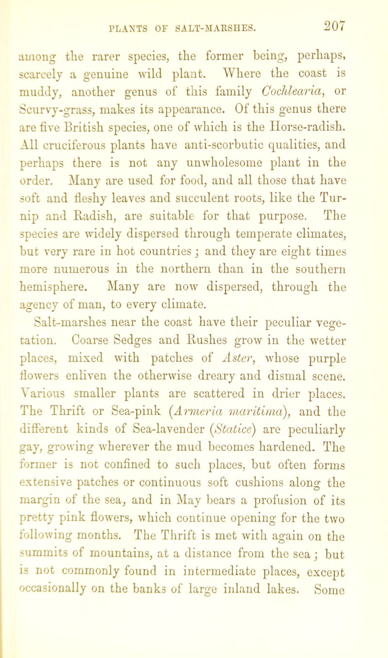 lUHOug the rarer species, the former being, perhaps, scarcely a genuine ■wild plant. Where the coast is muddy, another genus of this family Gochlearia, or Scurvy-grass, makes its appearance. Of this genus there are five British species, one of which is the Horse-radish. All cruciferous plants have anti-scorbutic qualities, and perhaps there is not any unwholesome plant in the order. Many are used for food, and all those that have soft and fleshy leaves and succulent roots, like the Tur- nip and Radish, are suitable for that purpose. The species are widely dispersed through temperate climates, but very rare in hot countries; and they are eight times more numerous in the northern than in the southern hemisphere. Many are now dispersed, through the agency of man, to every climate. Salt-marshes near the coast have their peculiar vege- tation. Coarse Sedges and Rushes grow in the wetter places, mixed with patches of Asie?’, whose purple flowers enliven the otherwise dreary and dismal scene. Various smaller plants are scattered in drier places. The Thrift or Sea-pink [Armeria maritbna), and the different kinds of Sea-lavender (^Statice) are peculiarly gay, growing wherever the mud becomes hardened. The former is not confined to such places, but often forms e.xtensive patches or continuous soft cushions along the margin of the sea, and in May bears a profusion of its pretty pink flowers, which continue opening for the two following months. The Thrift is met with again on the summits of mountains, at a distance from the sea; but is not commonly found in intermediate places, except occasionally on the banks of large inland lakes. Some