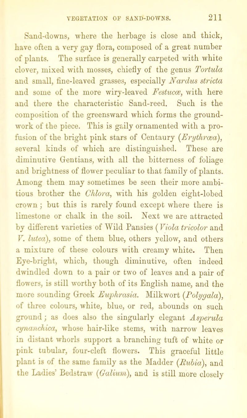 Sand-clowns, where the herbage is close and thick, have often a very gay flora, composed of a gi’eat number of plants. The surface is generally carpeted with white clover, mixed with mosses, chiefly of the genus Tortula and small, fine-leaved grasses, especially Naixlus stricta and some of the more wiry-leaved Festucce, with here and there the characteristic Sand-reed. Such is the composition of the greensward which forms the ground- work of the piece. This is gaily ornamented with a pro- fusion of the bright pink stars of Centaury (^Erytlircea), several kinds of which are distinguished. These are diminutive Gentians, with all the bitterness of foliage and brightness of flower peculiar to that family of plants. Among them may sometimes be seen their more ambi- tious brother the Chlora, with his golden eight-lobed crown but this is rarely found except where there is limestone or chalk in the soil. Next we are attracted by different varieties of Wild Pansies {Viola tricolor and V. luteci), some of them blue, others yellow, and others a mixture of these colours with creamy white. Then Eye-bright, which, though diminutive, often indeed dwindled down to a pair or two of leaves and a pair of flowers, is still worthy both of its English name, and the more sounding Greek Ewphrasia. Milkwort {Eolygala), of three colours, white, blue, or red, abounds on such ground; as does also the singularly elegant Asjoerula cynanchica, whose hair-like stems, with narrow leaves in distant whorls support a branching tuft of white or pink tubular, four-cleft flowers. This graceful little plant is of the same family as the Madder {Ruhia), and the Ladies’ Bedstraw {Galium), and is still more closely