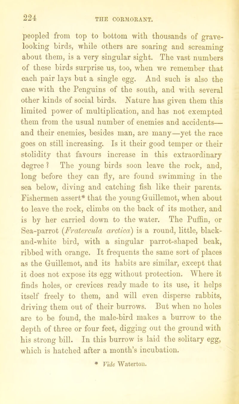 THE CORMORANT. peopled from top to bottom with thousands of grave- looking birds, while others are soaring and screaming about them, is a very singular sight. The vast numbers of these birds surprise us, too, when we remember that each pair lays but a single egg. And such is also the case with the Penguins of the south, and with several other kinds of social birds. Nature has given them this limited power of multiplication, and has not exempted them from the usual number of enemies and accidents— and their enemies, besides man, are many—yet the race goes on still increasing. Is it their good temper or their stolidity that favours increase in this extraordinary degree 1 The young birds soon leave the rock, and, long before they can fly, are found swimming in the sea below, diving and catching fish like their parents. Fishermen assert* that the young Guillemot, when about to leave the rock, climbs on the back of its mother, and is by her carried down to the water. The Puffin, or Sea-parrot (^Fratercula arctica) is a round, little, black- and-white bird, with a singular parrot-shaped beak, ribbed with orange. It frequents the same sort of places as the Guillemot, and its habits are similar, except that it does not expose its egg without protection. Where it finds holes, or crevices ready made to its use, it helps itself freely to them, and will even disperse rabbits, drivins: them out of their burrows. But when no holes are to be found, the male-bird makes a burrow to the depth of three or four feet, digging out the ground with his strong bill. In this burrow is laid the solitary egg, which is hatched after a month’s incubation. * Vide Watertou.