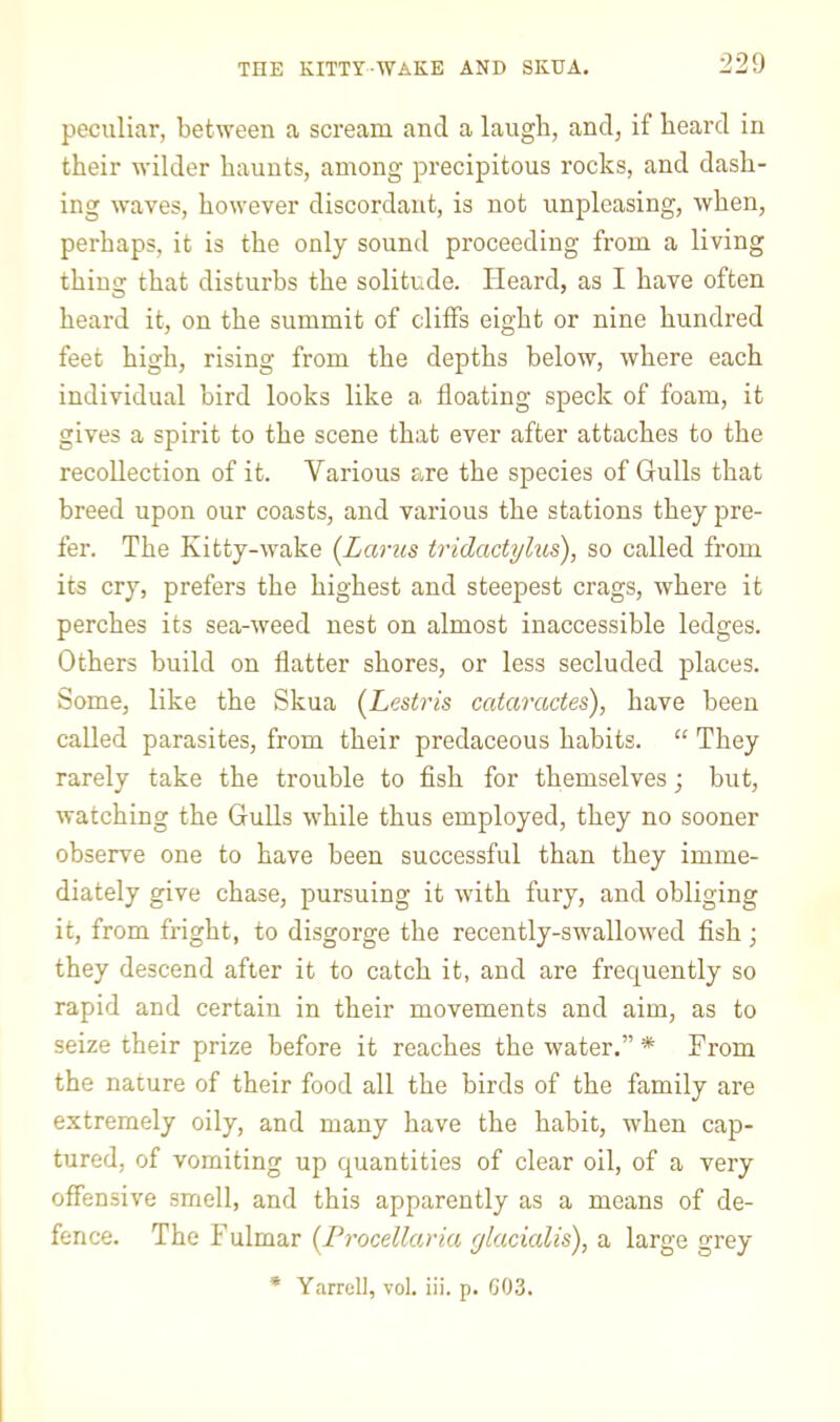 peculiar, between a scream and a laugh, and, if heard in their wilder haunts, among precipitous rocks, and dash- ing waves, however discordant, is not unpleasing, when, perhaps, it is the only sound proceeding from a living thing that disturbs the solitude. Heard, as I have often heard it, on the summit of cliffs eight or nine hundred feet high, rising from the depths below, where each individual bird looks like a floating speck of foam, it gives a spirit to the scene that ever after attaches to the recollection of it. Various are the species of Gulls that breed upon our coasts, and various the stations they pre- fer. The Kitty-wake {Larus tridactylus), so called from its cry, prefers the highest and steepest crags, where it perches its sea-weed nest on almost inaccessible ledges. Others build on flatter shores, or less secluded places. Some, like the Skua (Lestris cataractes), have been called parasites, from their predaceous habits. “ They rarely take the trouble to fish for themselves; but, watching the Gulls while thus employed, they no sooner observe one to have been successful than they imme- diately give chase, pursuing it with fury, and obliging it, from fright, to disgorge the recently-swallowed fish; they descend after it to catch it, and are frequently so rapid and certain in their movements and aim, as to seize their prize before it reaches the water.”* From the nature of their food all the birds of the family are extremely oily, and many have the habit, when cap- tured, of vomiting up quantities of clear oil, of a very offensive smell, and this apparently as a means of de- fence. The Fulmar {Frocellaria ylacicdis), a large grey * Yarrell, vol. iii. p. G03.