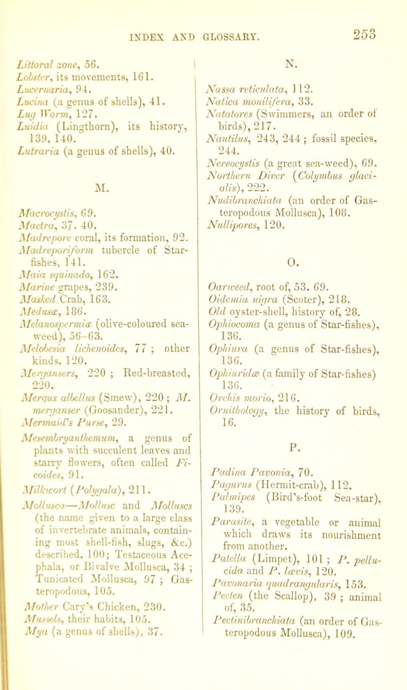 Littoral zone, 56. I Lobster, its movements, 161. Lucernaria, 94. Lucina (;i genus of shells), 41. Lu^ U'orw, 1'27. Luidia (Linuthorn), its historj', 139, 140. Luiraria (a genus of shells), 40. M. flfacroci/stis, 69. JMadra, 37- 40. Madrepore coral, its formation, 92. Madreporiform tubercle of Star- fishes, 141. ^laia squinado, 162. Ufarine grapes, 239. Masked Crab, 163. Jileduse, 186. Melanospermite (olive-coloured sea- weed), 56-63. Melohesia lichenoides, 77 ; other kinds. 120. Mergansers, 220 ; Red-breasted, 220. Merqus alhellus (Smew), 220 ; M. merganser (Goosander), 221. Mermaid's Purse, 29. Mesembrgantliemum, a genus of plants with succulent leaves and starry flowers, often called Fi- coides, 91. Milhcort (Pohjgald), 211. Mollusca—^follusc and J\[olhiscs (the name given to a large class of invertebrate animals, contain- ing most shell-fish, slugs, &c.) described, 100; Testaceous Ace- phala, or Rivalve Mollusca, 34 ; Tunicatcd Mollusca, 97 ; Gas- teropodous, 10,3. Mother Cary’s Chicken, 2.30. i\[ussels, their habits, 105. Mya (a genus of shells), 37. N. Nassa reticulata, 112. IVutica monilifera, 33. Katalores (Swimmers, an order of birds), 217. Nautilus, 243, 244 ; fossil species, 244. Noreocyslis (a great sea-weed), 69. Northern Direr {Colymbus glaci- alis), 222. Nudibranchiata (an order of Gas- teropodous Mollusca), 108. Ndliqmres, 120. 0. Oar weed, root of, 53. 69. Oidemia nigra (Scoter), 218. Old oyster-shell, history of, 28. Ophiocoma (a genus of Star-fishes), 136. Opliitira (a genus of Star-fishes), 136. OplnuridcB (a family of Star-fishes) 136. Orchis morio, 216. Ornithology, the history of birds, 16. P. I^adina Pavonia, 70. Pagurus (Hermit-crab), 112. Palmipes (Bird’s-foot Sea-star), 139. Parasite, a vegetable or animal which draws its nourishment from another. Patella (Limpet), 101 ; P. pellu- cida and P. lands, 120. I’avonaria quadranguluris, 153. Peclen (the Scallop), 39 ; animal of, 35. Pectinibranchiata (an order of Gas- teropodous Mollusca), 109.