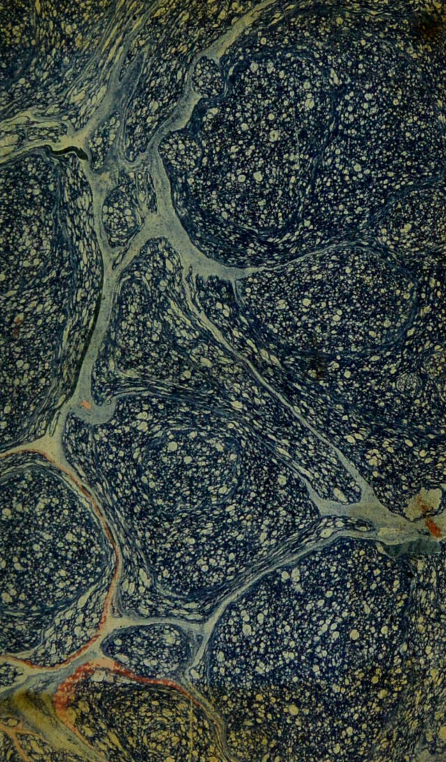 digitised image 3