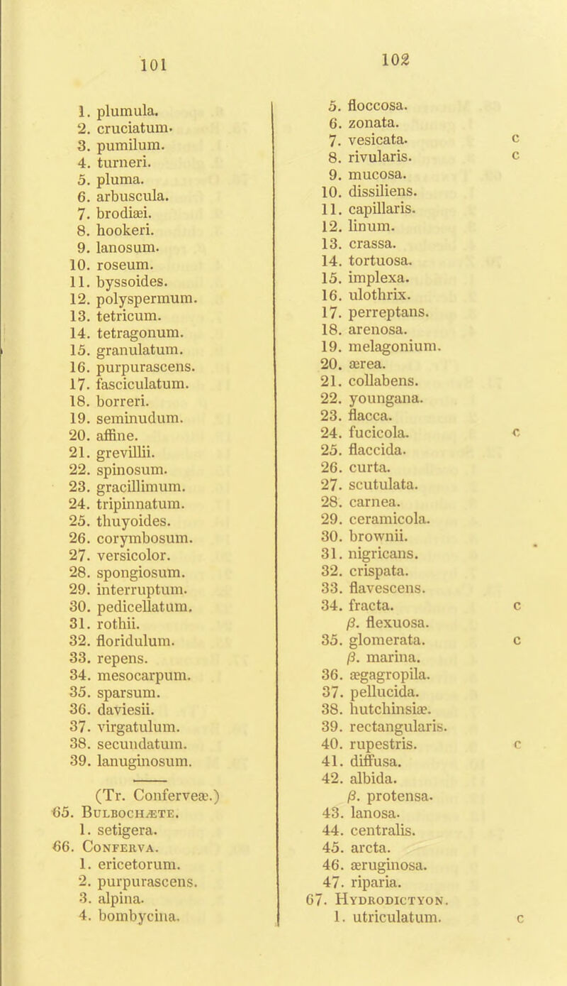 101 1. plumula. 2. cruciatum. 3. pumilum. 4. turneri. 5. pluma. 6. arbuscula. 7. brodiaei. 8. hookeri. 9. lanosum. 10. roseum. 11. byssoides. 12. polyspermum. 13. tetricum. 14. tetragonum. 15. granulatum. 16. purpurascens. 17. fasciculatum. 18. borreri. 19. seminudum. 20. affine. 21. grevillii. 22. spinosum. 23. gracillimum. 24. tripinnatum. 25. thuyoides. 26. corymbosum. 27. versicolor. 28. spongiosum. 29. interruptum. 30. pedicellatum. 31. rothii. 32. floridulum. 33. repens. 34. mesocarpum. 35. sparsum. 36. daviesii. 37. virgatulum. 38. secundatum. 39. lanuginosum. (Tr. Conferveae.) <55. Bulbockuete. 1. setigera. 66. Conferva. 1. ericetorum. 2. purpurascens. 3. alpina. 4. bombycina. 5. floccosa. 6. zonata. 7. vesicata- c 8. rivularis. c 9. mucosa. 10. dissiliens. 11. capillaris. 12. linum. 13. crassa. 14. tortuosa. 15. implexa. 16. ulothrix. 17. perreptans. 18. arenosa. 19. melagonium. 20. aerea. 21. collabens. 22. youngana. 23. flacca. 24. fucicola. c 25. flaccida. 26. curta. 27. scutulata. 28. carnea. 29. ceramicola. 30. brownii. 31. nigricans. 32. crispata. 33. flavescens. 34. fracta. c (3. flexuosa. 35. glomerata. c (3. marina. 36. aegagropila. 37. pellucida. 38. hutchinsia?. 39. rectangularis. 40. rupestris. c 41. diffusa. 42. albida. (3. protensa. 43. lanosa. 44. centralis. 45. arcta. 46. aeruginosa. 47. riparia. 67. Hydrodictyon. 1. utriculatum. c