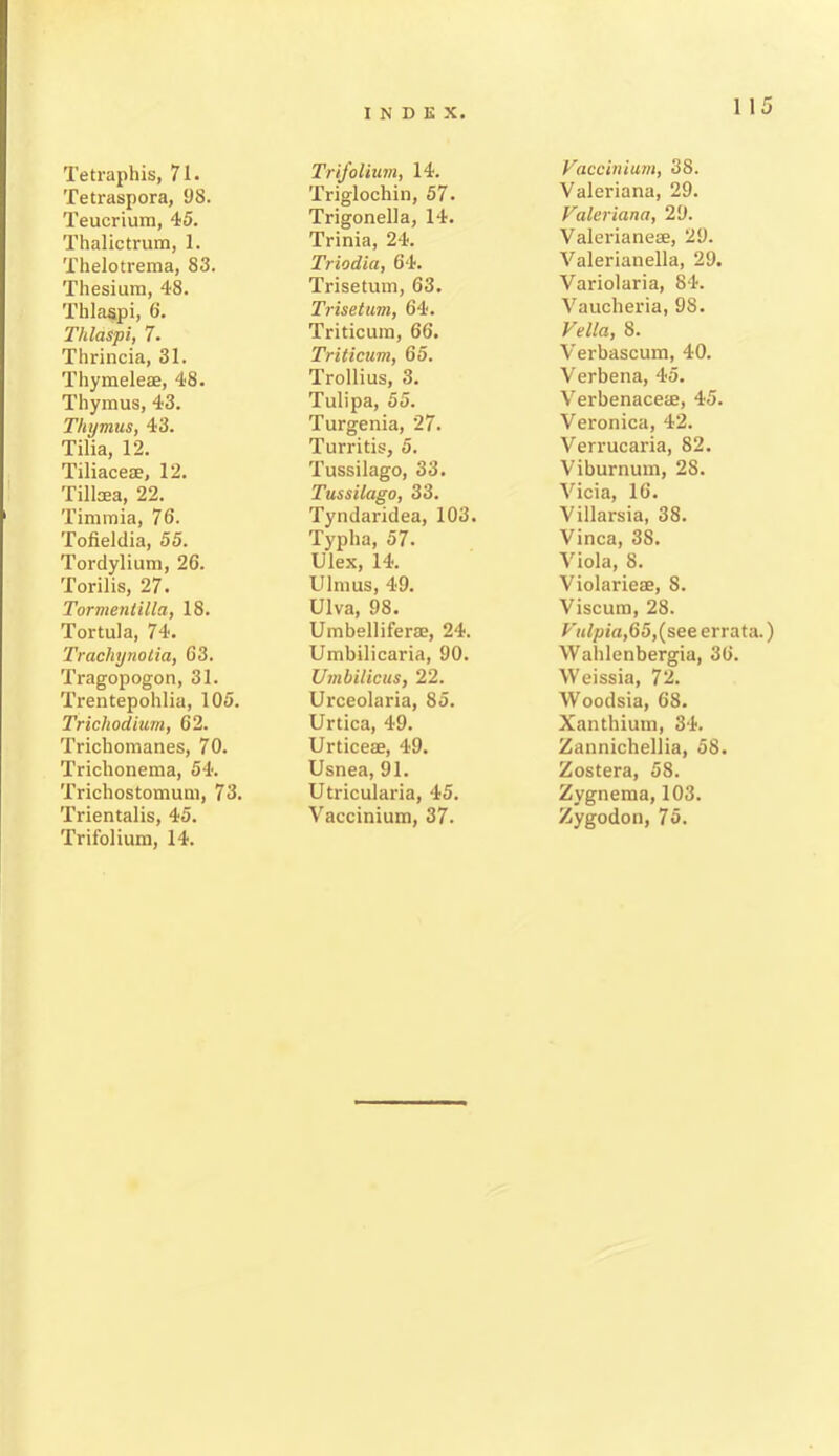 1 15 Tetraphis, 71. Tetraspora, 98. Teucrium, 45. Thalictrum, 1. Thelotrema, 83. Thesium, 48. Tblaspi, 6. Thlaspi, 7. Thrincia, 31. Thymeleae, 48. Thymus, 43. Thymus, 43. Tilia, 12. Tiliaceae, 12. Tillsea, 22. Timmia, 76. Tofieldia, 55. Tordylium, 26. Torilis, 27. Tormentilla, 18. Tortula, 74. Trachynotia, 63. Tragopogon, 31. Trentepohlia, 105. Trichodium, 62. Trichomanes, 70. Triclionema, 54. Trichostomum, 73. Trientalis, 45. Trifolium, 14. Trifolium, 14. Triglochin, 57. Trigonella, 14. Trinia, 24. Triodici, 64. Trisetum, 63. Trisetum, 64. Triticum, 66. Triticum, 65. Trollius, 3. Tulipa, 55. Turgenia, 27. Turritis, 5. Tussilago, 33. Tussilago, 33. Tyndaridea, 103. Typha, 57. Ulex, 14. Ulmus, 49. Ulva, 98. Umbelliferae, 24. Umbilicaria, 90. Umbilicus, 22. Urceolaria, 85. Urtica, 49. Urticeae, 49. Usnea, 91. Utricularia, 45. Vaccinium, 37. Vaccinium, 38. Valeriana, 29. Valeriana, 29. Valerianeae, 29. Valerianella, 29. Variolaria, 84. Vaucheria, 98. Vella, 8. Verbascum, 40. Verbena, 45. Verbenaceae, 45. Veronica, 42. Verrucaria, 82. Viburnum, 28. Vicia, 16. Villarsia, 38. Vinca, 38. Viola, 8. Violarieae, S. Viscum, 28. Vulpia,65,(see errata.) Wahlenbergia, 36. Weissia, 72. Woodsia, 68. Xanthium, 34. Zannichellia, 58. Zostera, 58. Zygnema, 103. Zygodon, 75.