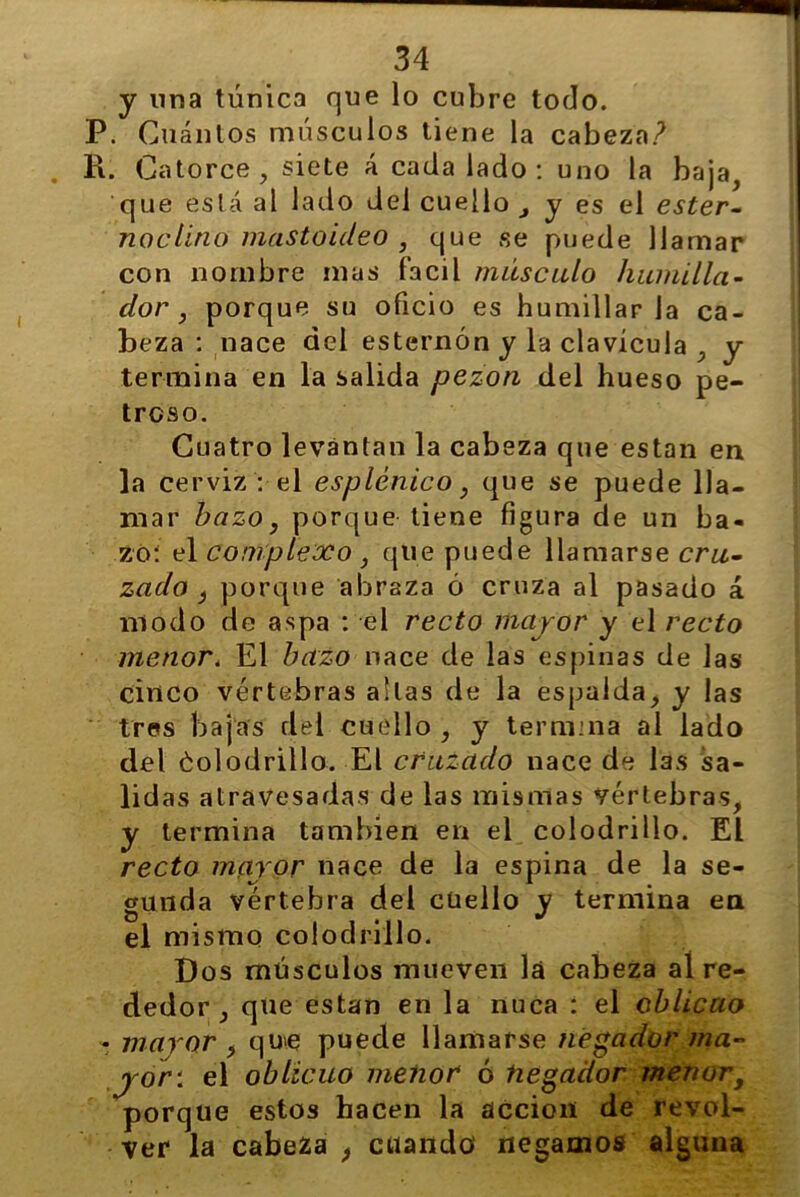 y una túnica rjue lo cubre todo. P. Cuántos músculos tiene la cabeza? R. Catorce, siete á cada lado: uno la baja, que está al lado del cuello , y es el ester- noclino mastoideo , que se puede llamar con nombre mas fácil músculo humilla- dor, porque su oficio es humillarla ca- beza : nace del esternón y la clavícula , y termina en la salida pezón del hueso pe- troso. Cuatro levantan la cabeza que están en la cerviz : el esplénico, que se puede lla- mar bazo, porque tiene figura de un ba- zo: el complexo , que puede llamarse cru- zado } porque abraza ó cruza al pasado á modo de aspa : el recto mayor y el recto menor. El bazo nace de las espinas de Jas cinco vértebras a!las de la espalda, y las tres bajas del cuello , y termina al lado del Colodrillo. El cruzado nace de las sa- lidas atravesadas de las mismas vértebras, y termina también en el colodrillo. El recto mayor nace de la espina de la se- gunda vértebra del cuello y termina en el mismo colodrillo. Dos músculos mueven lá cabeza aí re- dedor , que están en la nuca : el oblicuo . mayor , qu>e puede llamarse negador ma- yor: el oblicuo menor ó hegador menory porque estos hacen la acción de revol- ver la cabeza , cuando negamos alguna