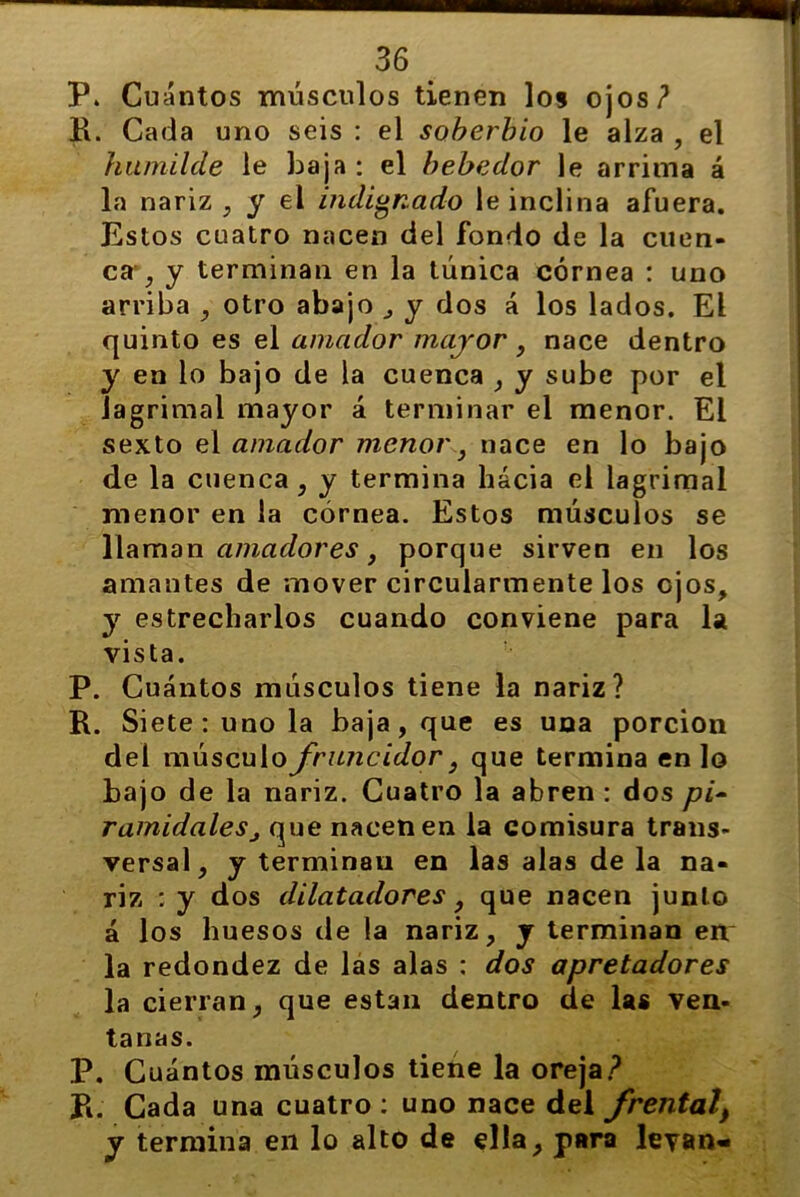 P. Cuántos músculos tienen los ojos? R. Cada uno seis : el soberbio le alza , el humilde le baja : el bebedor le arrima á la nariz ; y el indignado le inclina afuera. Estos cuatro nacen del fondo de la cuen- ca ; y terminan en la túnica córnea : uno arriba , otro abajo , y dos á los lados. El quinto es el amador mayor , nace dentro y en lo bajo de la cuenca , y sube por el lagrimal mayor á terminar el menor. El sexto el amador menor, nace en lo bajo de la cuenca, y termina hacia el lagrimal menor en la córnea. Estos músculos se llaman amadores, porque sirven en los amantes de mover circularmente los ojos, y estrecharlos cuando conviene para la vista. P. Cuántos músculos tiene la nariz? R. Siete runo la baja , que es una porción del músculo fruncidor} que termina en lo bajo de la nariz. Cuatro la abren : dos pi- ramidaleSj que nacen en la comisura trans- versal, y terminan en las alas de la na- riz :y dos dilatadores, que nacen junto á los huesos de la nariz, y terminan en la redondez de las alas : dos apretadores la cierran, que están dentro de las ven- tanas. P. Cuántos músculos tiene la oreja? R. Cada una cuatro : uno nace del frental} y termina en lo alto de ella, para levan-