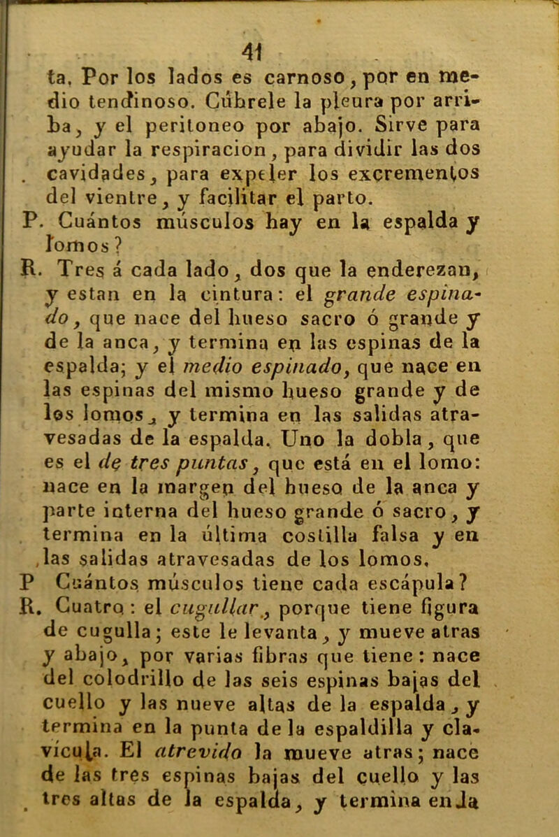 ta. Por los lados es carnoso, por en me- dio tendinoso. Cúbrele la pleura por arri- ba , y el peritoneo por abajo. Sirve para ayudar la respiración , para dividir las dos . cavidades, para expeler los excrementos del vientre , y facilitar el parto. P. Cuántos músculos hay en la espalda y lomos ? R. Tr es á cada lado, dos que la enderezan, y están en la cintura: el grande espina- do, que nace del hueso sacro ó grande y de la anca, y termina en las espinas de la espalda; y el medio espinado, que nace en las espinas del mismo hueso grande y de los lomos j y termina en las salidas atra- vesadas de la espalda. Uno la dobla, que es el de tres puntas, que está en el lomo: nace en la margen del hueso de la anca y parte interna del hueso grande ó sacro, y termina en la última costilla falsa y en las salidas atravesadas de los lomos, P Cuántos músculos tiene cada escápula? R. Cuatro: el engallar,, porque tiene figura de cugulla; este le levanta, y mueve atras y abajo, por varias fibras que tiene: nace del colodrillo de las seis espinas bajas del cuello y las nueve altas de la espalda , y termina en la punta de la espaldilla y cla- vícula. El atrevido la mueve atras; nace de las tres espinas bajas del cuello y las tres altas de Ja espalda, y termina en Ja