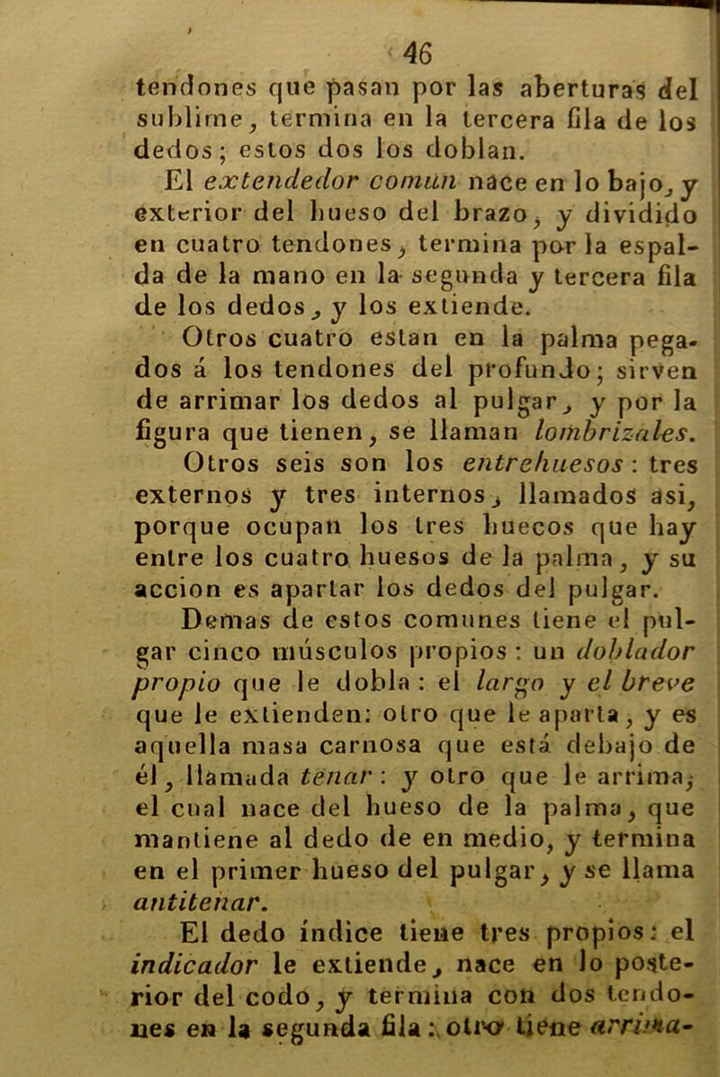 sublime, termina en la tercera fila de los dedos; estos dos los doblan. El extendedor común nace en lo bajo, y exterior del hueso del brazo, y dividido en cuatro tendones, termina por la espal- da de la mano en la segunda y tercera fila de los dedos^ y los extiende. Otros cuatro están en la palma pega- dos á los tendones del profundo; sirven de arrimar los dedos al pulgar^ y por la figura que tienen, se llaman lombriz-ales. Otros seis son los entrehuesos : tres externos y tres internos , llamados asi, porque ocupan los tres huecos que hay entre los cuatro huesos de la palma, y su acción es apartar ios dedos del pulgar. Demas de estos comunes tiene el pul- gar cinco músculos propios : un doblador propio que le dobla : el largo y el breve que le extienden: otro que le aparta, y es aquella masa carnosa que está debajo de él, llamada tenar : y otro que le arrima, el cual nace del hueso de la palmo, que mantiene al dedo de en medio, y termina en el primer hueso del pulgar, y se llama antitenar. El dedo índice tiene tres propios: el indicador le extiende, nace en lo poste- rior del codo, y termina coii dos tendo- nes en la segunda fila : otrc tiene arrima-