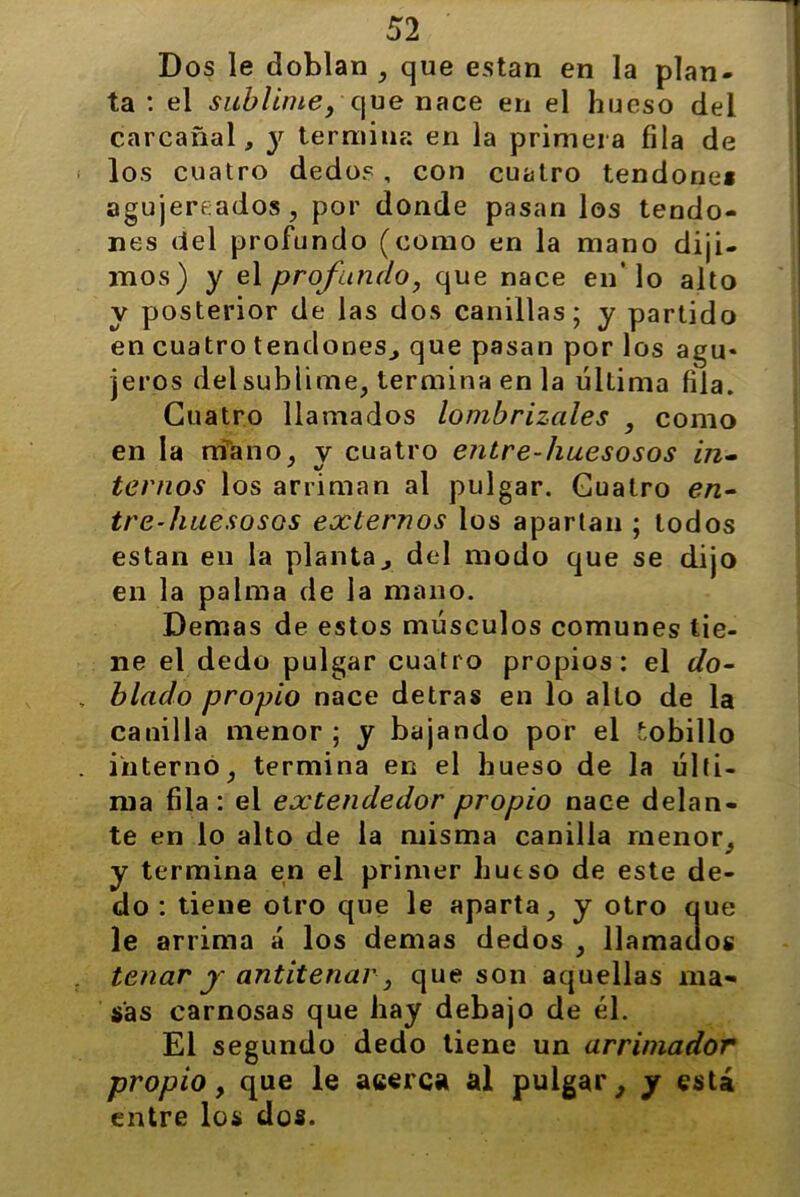 Dos le doblan , que están en la plan- ta : el sublime, que nace en el hueso del carcañal, y termina en la primera fila de los cuatro dedos, con cuatro tendones agujereados, por donde pasan los tendo- nes del profundo (como en la mano diji- mos) y el profundo, que nace en’lo alto y posterior de las dos canillas; y partido en cuatro tendones, que pasan por los agu* jeros del sublime, termina en la última fila. Cuatro llamados lombrizaies , como en la mano, y cuatro entre-huesosos in- temos los arriman al pulgar. Cuatro en- tre-huesosos externos los apartan ; todos están en la planta, del modo que se dijo en la palma de la mano. Demas de estos músculos comunes tie- ne el dedo pulgar cuatro propios: el do- blado propio nace detras en lo alto de la canilla menor ; y bajando por el tobillo interno, termina en el hueso de la últi- ma fila: el extendedor propio nace delan- te en lo alto de la misma canilla menor, y termina en el primer hueso de este de- do : tiene otro que le aparta, y otro que le arrima á los demas dedos , llamados tenar y antitenar, que son aquellas ma- sas carnosas que hay debajo de él. El segundo dedo tiene un arrimador propio, que le acerca al pulgar, y está entre los dos.