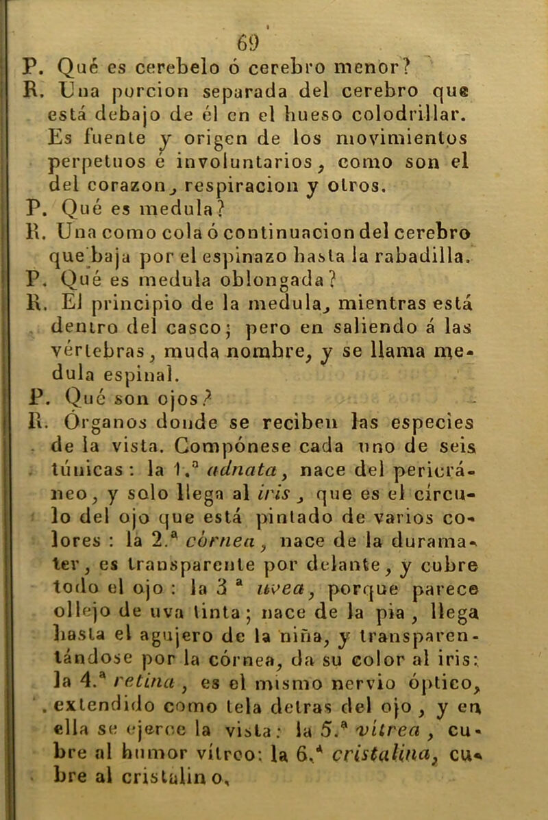 P. Qué es cerebelo ó cerebro menor? R. Una porción separada del cerebro que está debajo de él en el hueso colodrillar. Es fuente y origen de los movimientos perpetuos é involuntarios-, como son el del corazón, respiración y otros, P. Qué es medula? R. Una como cola ó continuación del cerebro que baja por el espinazo basta la rabadilla, P. Qué es medula oblongada? R. El principio de la medula, mientras está deniro del casco • pero en saliendo á las vértebras , muda nombre, y se llama me- dula espinal. P. Qué son ojos? R. Órganos donde se reciben las especies . de la vista. Compónese cada uno de seis túnicas: la 1.a adnata, nace del pericrá- neo, y solo llega al iris , que es el círcu- lo del ojo que está pintado de varios co- lores : la 2.a córnea, nace de la durama* lev, es transparente por delante, y cubre todo el ojo : la 3 a uvea, porque parece oliejo de uva tinta; nace de la pía , llega basta el agujero de la niña, y transparen- tándose por la córnea, da su color al iris:, la 4.a retina , es el mismo nervio óptico, . extendido como lela detras del ojo , y en ella se ejerce la vista: la 5.a vitrea , cu- bre al humor vitreo: la 6/ cristalina, cu* bre al cristalin o.