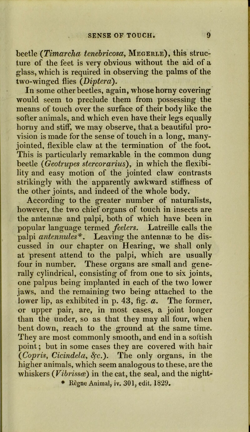 beetle (Timarcha tenebricosay Megerle), this struc- ture of the feet is very obvious without the aid of a glass, which is required in observing the palms of the two-winged flies (JDi'ptera). In some other beetles, again, whose horny covering would seem to preclude them from possessing the means of touch over the surface of their body like the softer animals, and which even have their legs equally horny and stiff, we may observe, that a beautiful pro- vision is made for the sense of touch in a long, many- jointed, flexible claw at the termination of the foot. This is particularly remarkable in the common dung beetle (Geotrupes stercorarius), in which the flexibi- lity and easy motion of the jointed claw contrasts strikingly with the apparently awkward stiffness of the other joints, and indeed of the whole body. According to the greater number of naturalists, however, the two chief organs of touch in insects are the antennae and palpi, both of which have been in popular language termed feelers. Latreille calls the palpi antennules*. Leaving the antennae to be dis- cussed in our chapter on Hearing, we shall only at present attend to the palpi, which are usually four in number. These organs are small and gene- rally cylindrical, consisting of from one to six joints, one palpus being implanted in each of the two lower jaws, and the remaining two being attached to the lower lip, as exhibited in p. 43, fig. a. The former, or upper pair, are, in most cases, a joint longer than the under, so as that they may all four, when bent down, reach to the ground at the same time. They are most commonly smooth, and end in a softish point; but in some cases they are covered with hair \CopriSy Cicindelciy ^c.). The only organs, in the higher animals, which seem analogous to these, are the whiskers (Vihrissce) in the cat, the seal, and the night- ♦ Regne Animal, iv. 301, edit, 1829.