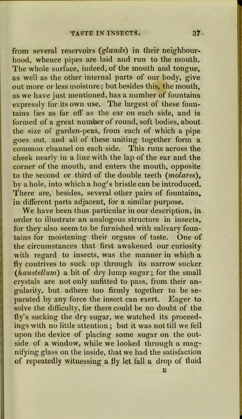 from several reservoirs (glands) in their neighbour- hood, whence pipes are laid and run to the mouth. The whole surface, indeed, of the mouth and tongue, as well as the other internal parts of our body, give out more or less moisture; but besides this, the mouth, as we have just mentioned, has a number of fountains expressly for its own use. The largest of these foun- tains lies as far off as the ear on each side, and is formed of a great number of round, soft bodies, about the size of garden-peas, from each of which a pipe goes out, and all of these uniting together form a common channel on each side. This runs across the cheek nearly in a line with the lap of the ear and the corner of the mouth, and enters the mouth, opposite to the second or third of the double teeth (molares), by a hole, into which a hog’s bristle can be introduced. There are, besides, several other pairs of fountains, in different parts adjacent, for a similar purpose. We have been thus particular in our description, in order to illustrate an analogous structure in insects, for they also seem to be furnished with salivary foun- tains for moistening their organs of taste. One of the circumstances that first awakened our curiosity with regard to insects, was the manner in which a fly contrives to suck up through its narrow sucker (haustellum) a bit of dry lump sugar; for the small crystals are not only unfitted to pass, from their an- gularity, but adhere too firmly together to be se- parated by any force the insect can exert. Eager to solve the difficulty, for there could be no doubt of the fly’s sucking the dry sugar, we watched its proceed- ings with no little attention ; but it was not till we fell upon the device of placing some sugar on the out- side of a window, while we looked through a mag- nifying glass on the inside, that we had the satisfaction of repeatedly witnessing a fly let fall a drop of fluid E