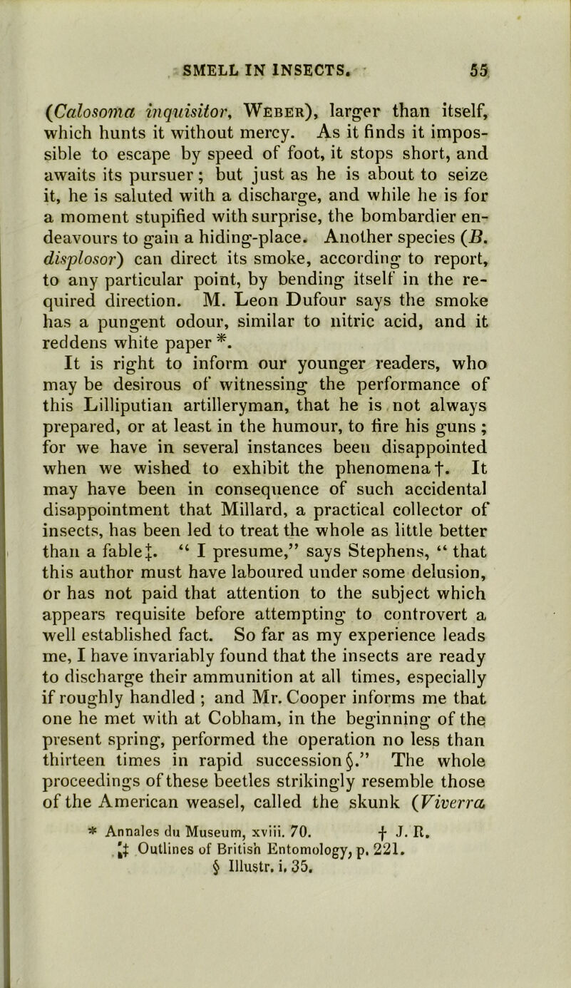 (Calosoma inquisitor, Weber), larger than itself, which hunts it without mercy. As it finds it impos- sible to escape by speed of foot, it stops short, and awaits its pursuer; but just as he is about to seize it, he is saluted with a discharge, and while he is for a moment stupified with surprise, the bombardier en- deavours to gain a hiding-place. Another species {B. dis'plosor') can direct its smoke, according to report, to any particular point, by bending itself in the re- quired direction. M. Leon Dufour says the smoke has a pungent odour, similar to nitric acid, and it reddens white paper It is right to inform our younger readers, who may be desirous of witnessing the performance of this Lilliputian artilleryman, that he is not always prepared, or at least in the humour, to fire his guns ; for we have in several instances been disappointed when we wished to exhibit the phenomena f. It may have been in consequence of such accidental disappointment that Millard, a practical collector of insects, has been led to treat the whole as little better than a fable “ I presume,” says Stephens, “ that this author must have laboured under some delusion, or has not paid that attention to the subject which appears requisite before attempting to controvert a well established fact. So far as my experience leads me, I have invariably found that the insects are ready to discharge their ammunition at all times, especially if roughly handled ; and Mr. Cooper informs me that one he met with at Cobham, in the beginning of the present spring, performed the operation no less than thirteen limes in rapid succession The whole proceedings of these beetles strikingly resemble those of the American weasel, called the skunk (Viverra * Annales du Museum, xviii. 70. f J. R. Outlines of British Entomology, p. 221. § Illustr. i. 35.