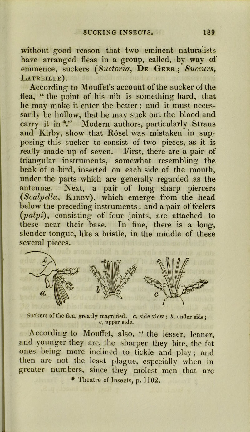 without good reason that two eminent naturalists have arranged fleas in a group, called, by way of eminence, suckers {Suctoria^ De Geer ; Suceurst Latreille). According to Mouffefs account of the sucker of the flea, “ the point of his nib is something hard, that he may make it enter the better; and it must neces- sarily be hollow, that he may suck out the blood and carry it in*.” Modern authors, particularly Straus and Kirby, show that Rosel was mistaken in sup- posing this sucker to consist of two pieces, as it is really made up of seven. First, there are a pair of triangular instruments, somewhat resembling the beak of a bird, inserted on each side of the mouth, under the parts which are generally regarded as the antennae. Next, a pair of long sharp piercers (^Scalpdla, Kirby), which emerge from the head below the preceding instruments: and a pair of feelers {palpi)^ consisting of four joints, are attached to these near their base. In fine, there is a long, slender tongue, like a bristle, in the middle of these several pieces. Suckers of the flea, greatly magnified, a, side view; b, under side; c, upper side. According to Mouffet, also, “ the lesser, leaner, and younger they are, the sharper they bite, the fat ones being more inclined to tickle and play; and then are not the least plague, especially when in greater numbers, since they molest men that are * Theatre of Insects, p. 1102.