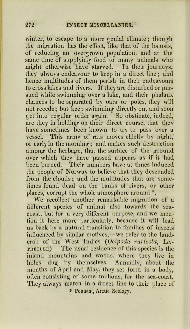 winter, to escape to a more genial climate; thougli the migration has the effect, like that of the locusts, of reducing an overgrown population, and at the same time of supplying food to many animals who might otherwise have starved. In their journeys, they always endeavour to keep in a direct line; and hence multitudes of them perish in their endeavours to cross lakes and rivers. If they are disturbed or pur- sued while swimming over a lake, and their phalanx chances to be separated by oars or poles, they will not recede; but keep swimming directly on, and soon get into regular order again. So obstinate, indeed, are they in holding on their direct course, that they have sometimes been known to try to pass over a vessel. This army of rats moves chiefly by night, or early in the morning; and makes such destruction among the herbage, that the surface of the ground over which they have passed appears as if it had been burned. Their numbers have at times induced the people of Norway to believe that they descended from the clouds; and the multitudes that are some- times found dead on the banks of rivers, or other places, corrupt the whole atmosphere around We recollect another remarkable migration of a different species of animal also towards the sea- coast, but for a very different purpose, and we men- tion it here more particularly, because it will lead us back by a natural transition to families of insects influenced by similar motives,—we refer to the land- crab of the West Indies {Ocipoda ruricola, La- treille). The usual residence of this species is the inland mountains and woods, where they live in holes dug by themselves. Annually, about the months of April and May, they set forth in a body, often consisting of some millions, for the sea-coast. They always march in a direct line to their place of * Pennant, Arctic Zoology,