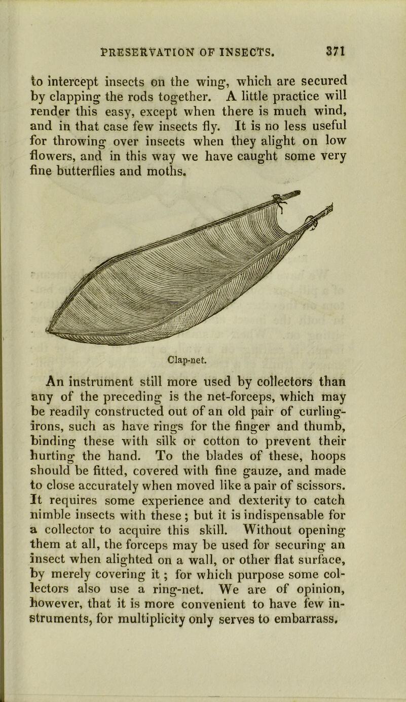 to intercept insects on the wing, which are secured by clapping the rods together. A little practice will render this easy, except when there is much wind, and in that case few insects fly. It is no less useful for throwing over insects when they alight on low flowers, and in this way we have caught some very fine butterflies and moths. An instrument still more used by collectors than any of the preceding is the net-forceps, which may be readily constructed out of an old pair of curling- irons, such as have rings for the finger and thumb, binding these with silk or cotton to prevent their hurting the hand. To the blades of these, hoops should be fitted, covered with fine gauze, and made to close accurately when moved like a pair of scissors. It requires some experience and dexterity to catch nimble insects with these; but it is indispensable for a collector to acquire this skill. Without opening them at all, the forceps may be used for securing an insect when alighted on a wall, or other flat surface, by merely covering it; for which purpose some col- lectors also use a ring-net. We are of opinion, however, that it is more convenient to have few in- struments, for multiplicity only serves to embarrass.