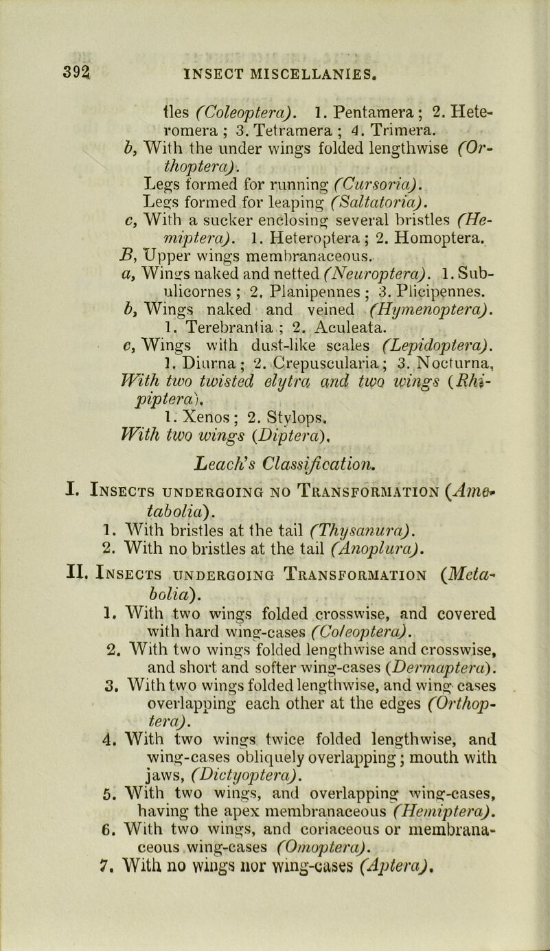 (Coleoptera). 1. Pentamera; 2. Hete- romera ; 3. Tetramera ; 4. Trimera. b. With the under wings folded lengthwise (Or~ thoptera). Legs formed for running (Ciirsoria). Legs formed for leaping (Saltatoria). c, With a sucker enclosing several bristles (He- miptera). 1. Heteroptera; 2. Homoptera. B, Upper wings membranaceous. a. Wings naked and netted (Neuroptera). 1. Sub- ulicornes ; 2, Planipennes ; 3. Plicipennes. Wings naked and veined (Hymenoptera). 1. Terebrantia ; 2. Aculeata. c, Wings with dust-like scales (Lepidoptera). l.Diurna; 2. Crepuscularia; 3. Nocturna, With two twisted elytra, and two wings {Rhi~ piptera), 1. Xenos ; 2. Stylops, With two wings (Diptera), Leach’s Classification. I. Insects undergoing no Transformation {Amo^ tabolia). 1. With bristles at the tail (Thysanura). 2. With no bristles at the tail (Anoplura). II. Insects undergoing Transformation (JSIeta^ boliaf. 1. With two wings folded crosswise, and covered with hard wing-cases (Co/eoptera). 2. With two wings folded lengthwise and crosswise, and short and softer wing-cases {Dermaptera). 3. With two wings folded lengfhwdse, and wing cases overlapping each other at the edges (Orthop- ter a). 4. With two wings twice folded lengthwise, and wing-cases obliquely overlapping; mouth with jaws, (Dictyoptera). 6. With two wings, and overlapping wing-cases, having the apex membranaceous (Heniiptera). 6. With two wings, and coriaceous or membrana- ceous wing-cases (Omoptera).