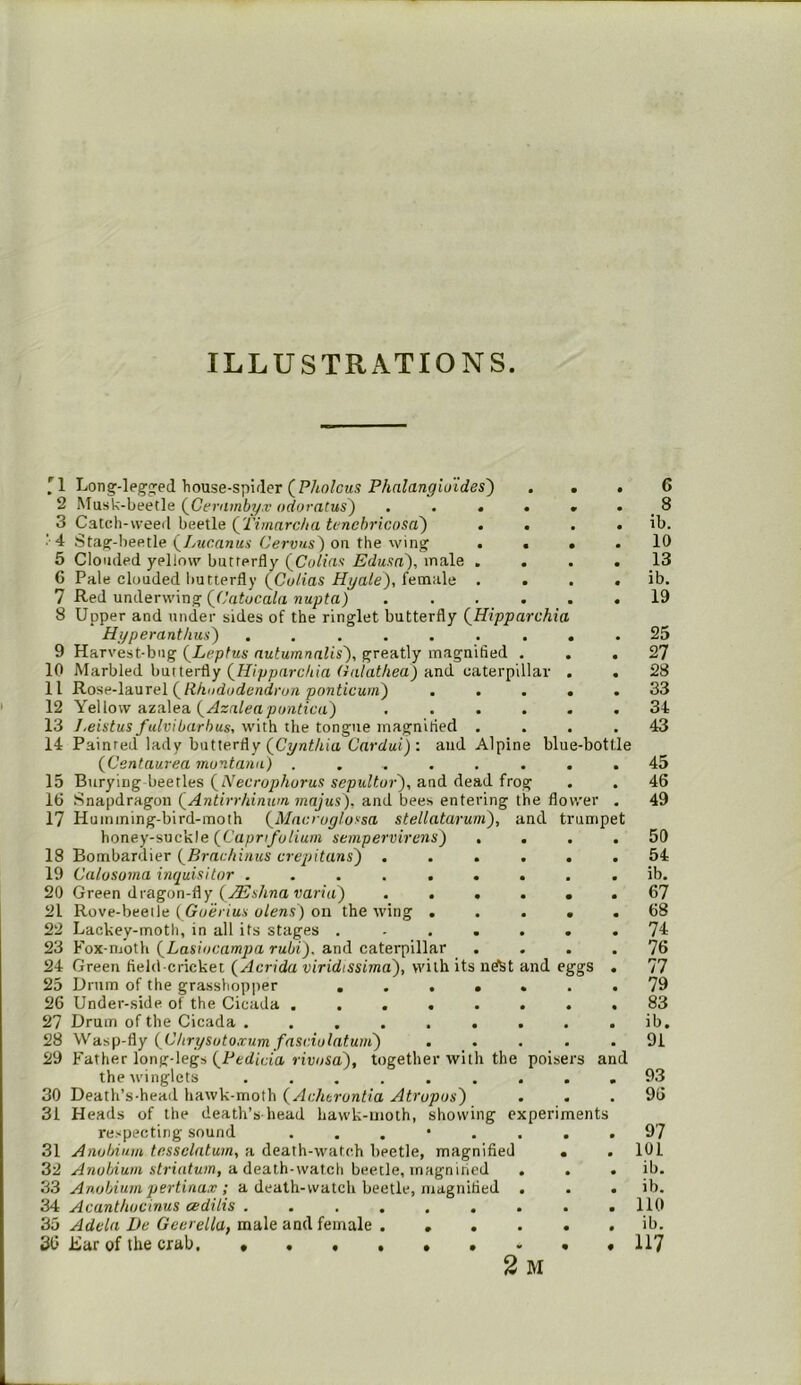 ILLUSTRATIONS '1 Longf-legg:ed house-spifler (P/to^CM,9 PAn/an^iy’tdes) ... 6 2 Musk-beetle (^Geramby.v odoratus^ . . • « « . 8 3 Catch-weeil beetle (^Timardta tenchricosa) . , . . ib. •'4 Stag:-beetle (//weanuA-C'eruMs) on the wing .... 10 5 Clouded yellow butterfly (^Colias Eduxd), male .... 13 G Pale clouded l)utterfly (Cy/ias Pfya/e), female . . . . ib. 7 Red underw'mfr Q(Jatocala nupta) . . . ... 19 8 Upper and under sides of the ringlet butterfly QHipparchia Hyperanthus') ......... 25 9 Harvest-bug (^Leptus nutumnalis'), greatly magnified ... 27 10 Marbled butterfly (^Hipparcltia Galathea) and caterpillar . . 28 11 Rose-laurel (P/iudydendrya pynttc'Mw) ..... 33 12 Yellow azalea (^sa/eapyat/ca) ...... 34 13 Leistus fulvibarhus, with the tongue magnified .... 43 14 Painted lady butterfly (Ct/nt/iia Cardui): and Alpine blue-bottle {Centaurea rnuntana) ........ 45 15 Burying beetles (^Necrophorus sepultur'), and dead frog . . 46 16 Snapdragon ^Antirrhinum majus), and bees entering the flower , 49 17 Humming-bird-moth {Miicrugluysa stellatarum), and trumpet honey-suckle {Caprifulium sempervirens) .... 50 18 Bombardier {^Brachitms crepitans^ ...... 54 19 Calosoma inquisitor ......... ib. 20 Green dragon-fly (.5?.s7tna varta) ...... 67 21 Rove-beetle (GyeVm.v o/e«s) on the wing ..... 68 22 Lackey-moth, in all its stages ....... 74 23 Fox-moth (^Lasiocampa rubi). and caterpillar .... 76 24 Green field-cricket (Acrida viridissima'), with its ndSt and eggs . 77 23 Drum of the grasshopper ....... 79 26 Under-side of the Cicada ........ 83 27 Drum of the Cicada ......... ib. 28 Wasp-fly {Chrysoto.tum fnsciulatum') ..... 91 29 Father long-legs (Pedicia rivosa), together with the poisers and thewinglets ......... 93 30 Death’s-head hawk-moth {Achtruntia Atrupos) ... 96 31 Heads of the death’s head hawk-moth, showing experiments respecting sound 97 31 Anobium tossclntum, a death-watch beetle, magnified • .101 32 ylnyfcfaHt A'tn’yfuw, a death-watch beetle, magnified . . . ib. 33 Anobium pertina.T ; a death-watch beetle, magnified . . . ib. 34 Acanthocinus eedilis . . . . . . . . .110 35 Adda De Geurella, m'dle'dad female . ..... ib. 3b Lar of the crab. ^-^7