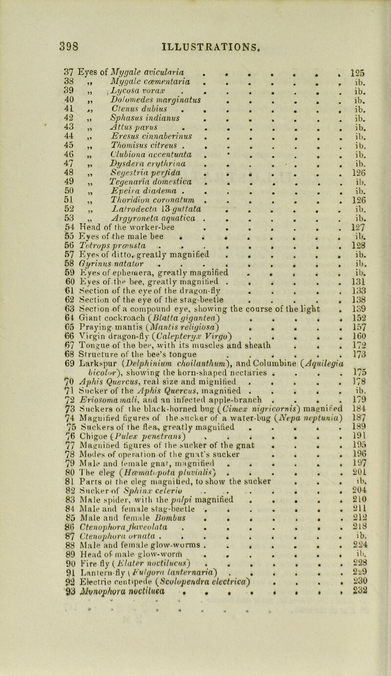 37 Eyes of Mygale aviculnria 38 ,, Mygale ccementaria 39 „ , Lycosa vora^v 40 „ Dolumedcs marginatus 41 ,, Ctenus diibius , , 42 „ Sphasus indianus 43 „ Attus parus . . 44 ,, Eresus cinnabcrinus , 45 „ T/iomisus citreus . 46 „ Clubiona accentuata 47 Eysdera erythrina 48 „ Segestria perjida 49 „ Tegenaria domestica 50 „ Epcii a diadema . . 51 ,, Thoridiun curonatum . 52 „ Lafrodecta 13 guttata 53 „ Argyruneta aquatica . 54 Head of the worker-bee . 55 Eyes of the male bee . 56 Tetrups prceusta 57 Eyes of ditto, greatly magnified 68 Gyrinus natatur , 59 Eyes of ephemera, greatly magnified 60 Eyes of the bee, greatly magnified . 61 Section of the eye of the drajfon-fly 62 Section of the eye of the stag-beetle 63 Section of a compound eye, showing the course 64 Giant cockroach (B/at/n6'i^nnten) 65 Praying mantis (jlifnnt/s re%tosrt) . 66 Virgin dragon-fly Ftr^u) 67 Tongue of the bee, with its muscles and sheath 68 Structure of the bee’s tongue 69 Larkspur {Delphinium choilanthuni^, andColu bicol(t'r'), showing the horn-shaped nectaries 70 Aphis Quercus, real size and mignified 71 Sucker of the Quercus, magnified . 72 Eriosomamali, and an infected apple-branch 73 Suckers of the black-horned bug {^Cimex nigr 74 Magnified figures of the sucker of a water-bug 75 Suckers of the flea, greatly magnified . 76 Chigoe (_Fule.r penetrans^ 77 Magnified figures of the sucker of the gnat 78 Moiles of operation of the gnat's sucker 79 Male tind lemale gnat, magnified . 80 'I'he cleg (^Hcematvputa ptuvialis) 81 Parts ot the cleg magnified, to show the sucker 82 Sucker of Sphinx celerlv 83 Male spider, with \]\e palpi magnified 84 Male and female stag-beetle . 85 Male and female Boinbus ... 86 CtenophoraJkiveolata .... 87 Ctenophora ornata ..... 88 Male and female glow-worms . . . 89 Head of male glow-worm . . 90 V\Te fiy {Elater noctilucus') . , . 91 Ijiinterw-^y (Du/gora lanternaria') . . 99 Electric centipede (^Scolopendra clcctrica') 93 Mvnopfma mvtiluea * , • . nbin of the light {Aq tilegi amis') magnified (zYcpa mptunia') 125 lb. ib. ib. ib. ib, ib. ib. ib. ib. ib. 126 ib. ib. 126 ib. ib. 127 ib. 128 ib. ib. ib. 131 133 138 139 152 157 160 172 173 175 178 ib. 179 184 187 189 191 195 196 197 201 lb. 204 210 211 212 218 ib. 224 ib. 228 2-9 230 232