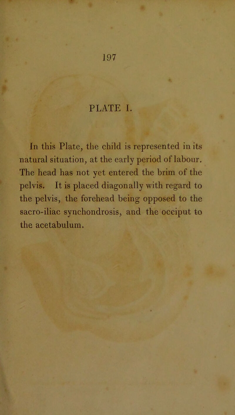 ]97 PLATE I. In this Plate, the child is represented in its natural situation, at the early period of labour. The head has not yet entered the brim of the pelvis. It is placed diagonally with regard to the pelvis, the forehead being opposed to the sacro-iliac synchondrosis, and the occiput to the acetabulum.