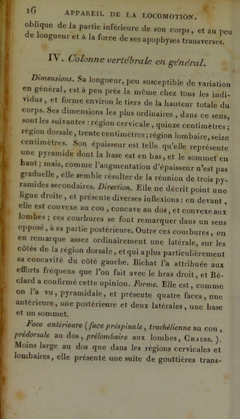 oblique de la partie inférie,.re de son corps, et au peu de longueur et à la force de ses apophyses transverses. l’V . Colonne vertébrale en général. Dimmsions. Sa longueur, peu susceptible de variation en general, est à peu près la même chez tous les indi- vidus, et forme environ le tiers de la hauteur totale du corps. Ses dimensions les plus ordinaires , dans ce sens sont les suivantes : région cervicale . quinze centimètres; région «lorsalc, trente centimètres; région lombaire, seize centimètres. Son épaisseur est telle qu’elle représente une pyramide dont la base est en bas, et le sommet en haut ; mais, comme raiignicntation d’épaisseur n’est pas graduelle , elle semble résulter de la réunion de trois py- ramides secondaires. Direction. Elle ne décrit point une ligne droite , et préH-nte diverses inllexioiis : en devant, elle est convexe au cou , concave au dos, et convexe aux lombes ; ces courbures se font remarquer dans un sens opposé, à sa partie postérieure. Outre ces coin hures, on en remarque assez ordinairement une latérale, sur les eûtes de la région dorsale, et qui a plus particulièrement sa concavité du côté gauche. Ilichat l’a attribuée aux eflorts fréquens que l’on fait avec le bras droit, et Bé- clard a confirmé celte opinion. Forme. Elle est, comme on l’a vu, pyramidale, et présente quatre faces, une antérieure, une postérieure et deux latérales, une base et un sommet. Face anterieure {face préspinate, trachélicnne au cou , prèdorsale au dos, prélombairo aux lombes, Cimüss. ). Moins large au dos que dans les régions cervicales et lombaires, elle présente une suite de gouttières irans-