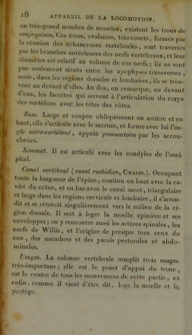 un lri-s-R,^„d nombre de muscle*, existent les tmus de roiy//««,s£m. Ces trous, ovalaires, liès-courts, formés par lareunmn des éebancrnres vertébrales, sont traveraés ).ar les branches antérieures des nerfs vertébraux, et leur diamètre est relatif au volume de ces nerfs ; ils ne sont l-as seidement situés entre les apophyses trausverses , mais, dans les lésrfons dorsales et lombaires, ils se Irou- 'çnt au devant dViles. .Vu dos, on remarque, au devant d eux, les lacelles qui servent à l’articulation du corps des vurtebres avec les tètes des côtes. Base. Large et coupée obliquement en arrière et en haut, elle s’articule avec le sacrum, et forme avec lui l’an- é'fc saero verlébnil, appelé promontoire par les accou- clieurs. Sommet. 11 est articulé avec les condyles de l’occi- pital. Canal vertébral (canal rachidien, Cmvss.). Occupant toute la longueur de l’éjiine, continu en haut avec la ca- vité du crâne, cl en bas avec le canal sacré, triangulaire et large dans les régions cervicale et lombaiic , il s’arron- dit et se rétrécit singulièrement vers le milieu de la ré- gion dorsale. 11 sert a loger la moelle éj.inière et ses enveloppes; on y rencontre aussi les artères spinales , les nerfs de Willis, et l’origine de presque tous ceux du cou , des membres et des jiarois pectorales et abdo- ininaltM. Lsagu. La colonne vertébrale remplit trois usages Irès-imporlans ; elle est le point d’appui du tronc, est le ceutre de tons les inouvemens de cette partie, et enün, comme il rient d’étre dit, loge la moelle et la, pvotége.