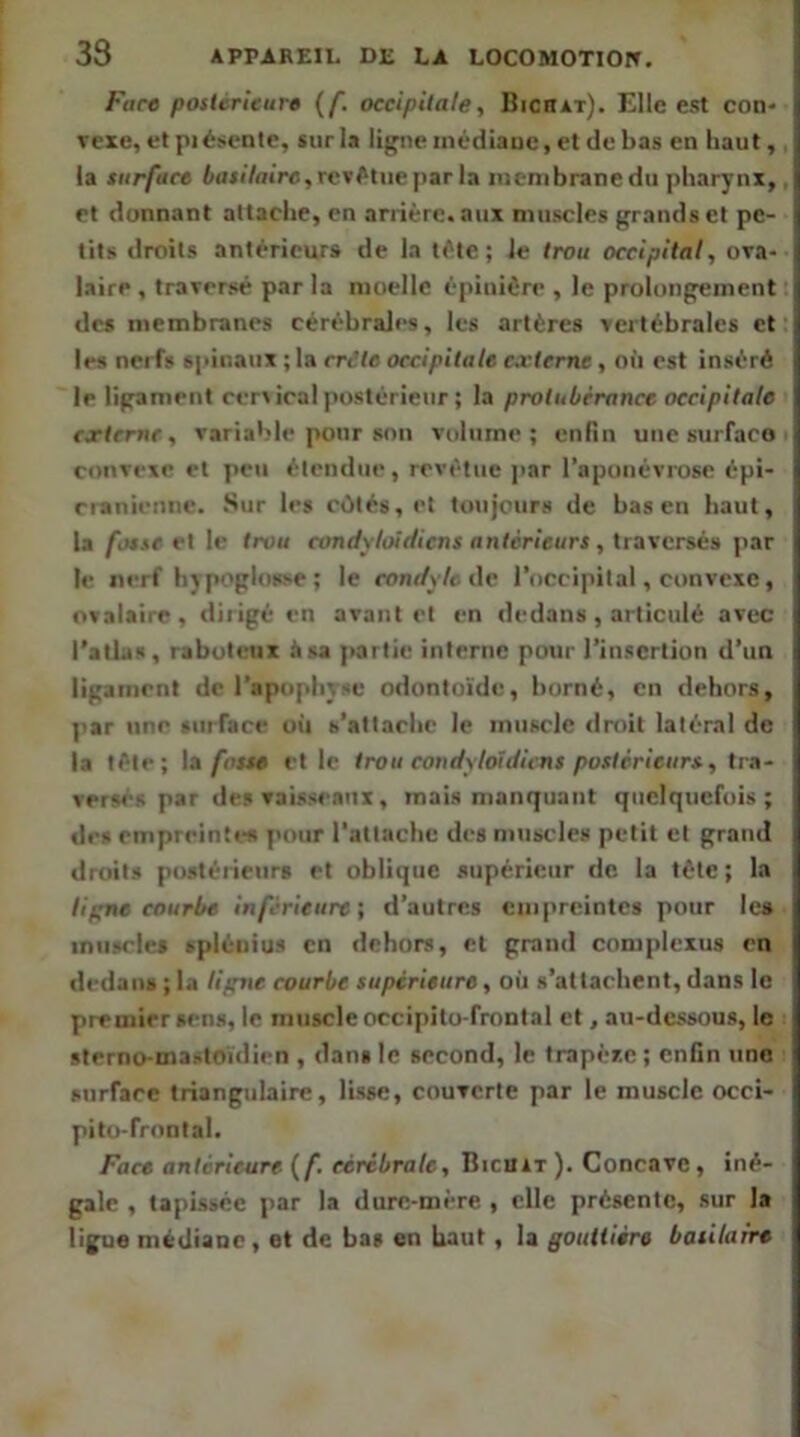 Face postérieure {f. occipitale, BicnAr). Elle est con- vexe, et piéscnte, *iir la lipie médiane, et du bas en haut, la surface basilaire,rcsHneparla membrane du pharynx, et donnant attache, en anière. aux muscles grands et pe- tits droits antérieurs de la tête; Je trou occipital, ova- laire , traversé par la moelle épiuiOre , le prolongement des membranes cérébrales, les artères vertébrales et les nerfs spinaux ; la crête occipitale externe, où est inséré le ligament cervical postérieur; la protubérance occipitale externe, variable pour son volume; enfin une surface convexe et peu étendue, revêtue jiar l’aponévrose épi- cianieniic. Sur les cûtés, et toujours de bas en haut, la fosse cl le trou condyloidicns antérieurs, Iraxcrséa jiar le ni-rf hypoglosse ; le conr/y/e de l’occipital, convexe, ovalaire, dirigé en avant et en dedans, articulé avec l’allas, raboteux à sa partie interne pour l’insertion d’un ligament de l’apophyse odontoïde, borné, en dehors, par une surface où s’attache le muscle dnût latéral de la tête; la fasse et le trou condyloidicns postérieurs, tra- versés par des vaisseaux, mais manquant quelquefois; des empreintes pour l’attache des muscles petit et grand droits postérieurs et oblique supérieur de la tête ; la Upne courbe inférieure; d’autres empreintes pour le» muscles spléiiius en dehors, et grand complexus en dedans ; la lipne courbe supérieure, où s’attachent, dans le premier sens, le muscle occipito-frontal et, au-dessous, le sterno-mastoïdien , dans le second, le trapère ; enfin une surface triangulaire, lisse, couverte par le muscle occi- pito-frnntal. Face antérieure {^f. cérébrale, Bicniv). Concave, iné- gale , tapissée par la dure-mère , elle présente, sur la ligue médiane, et de bas en haut, la gouttière basilaire