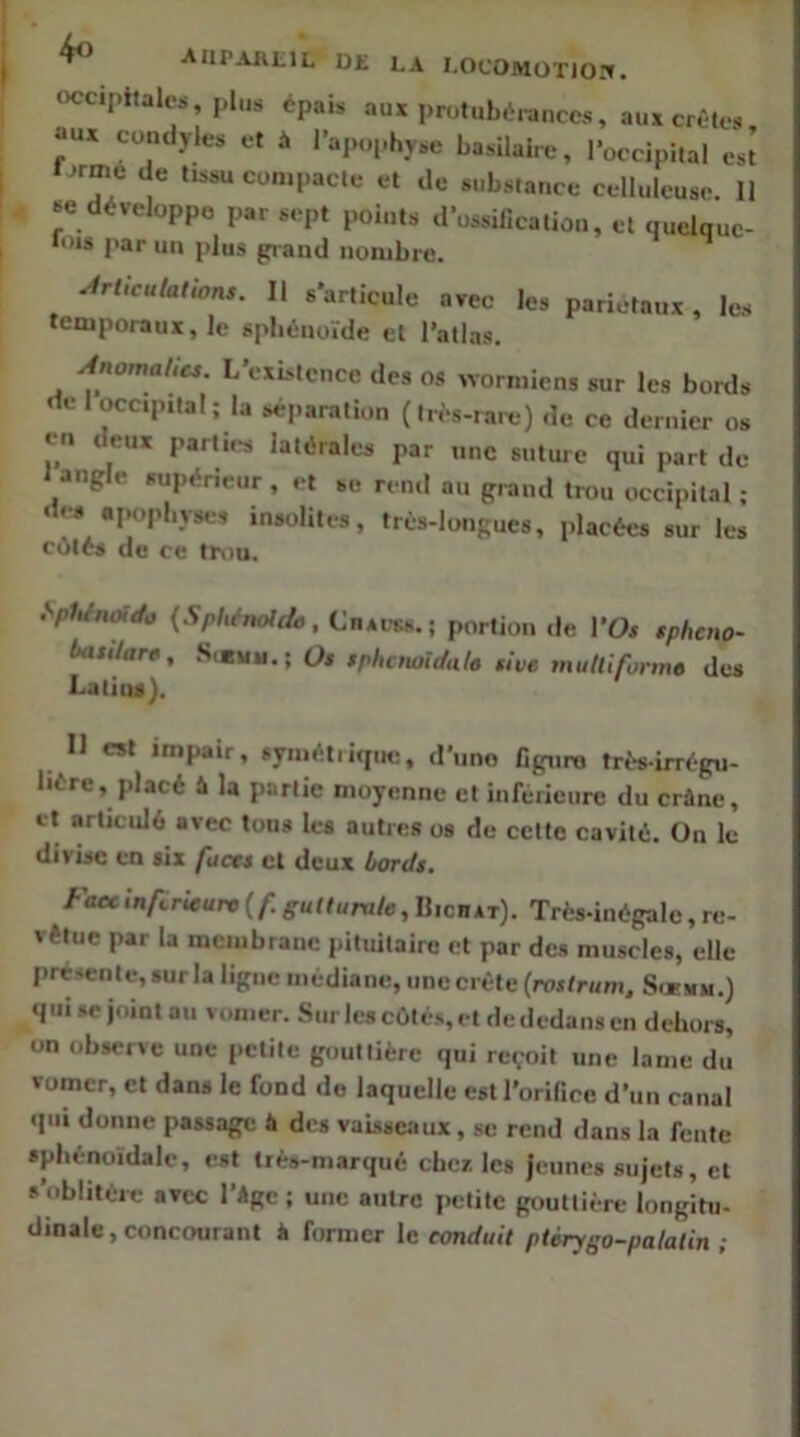 occipitales, plus épais aux protubérances, aux crêtes aux condyles et à l’apophyse basilaire, l’occipital esl nrmé de twsu compacte et de substance celluleuse. 11 «e développe par sept points d’ossification, et quelquc- lois J>ar un plus grand nombre. ^rliculattons. Il s’articule avec les pariétaux, les temporaux, le sphénoïde et l’atlas. Ânomahcs. L’existence des os vvormiens sur les bords de 1 occipital; la séparation (Irès-rai-e) de ce dernier os en deux parties latérales par une suture qui part de J angle supérieur , et se rend au grand trou occipital ; des «,K.pbyses insolites, très-longues, placées sur les col6» de ce trou. SplUnoido (V,éno/É&, Cnsess.; portion de l’Os tphcno- baii/are, .S<buu.; Os sphcnott/ala tive mutlifonn» des Latins). Il est impair, symétrique, d’iino figure triVirrégu- liére, placé ù la partie moyenne et inférieure du crâne, et articulé avec tous les autres os de cette cavité. On le divise en six faett cl deux bords. Faec inferieure ( f gutturale, IlicnxT). Très-inégale, re- vêtue par la membrane pituitaire et par des muscles, elle présente, sur la ligne médiane, une crête (rostrum, Scemu.) qui se joint au vomer. Sur les côtés, et de dedans en dehors, on observe une petite gouttière qui reçoit une lame du vomer, et dans le fond do laquelle est l’orifice d’un canal qui donne passage à des vaisseaux, se rend dans la fente sphénoïdale, est très-marqué cher: les jeunes sujets, et s’oblitère avec l’âge ; une autre petite gouttière longitu- dinale, concourant â former le conduit ptèrygo-palatin ;