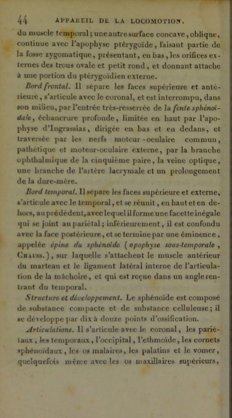 du muscle temporal ; une autre surfaco concave, oblique, continue avec l’apophyse plérygoïde, faisant partie de la fosse zygomatique, piésentant, en bas, les orifices ex- ternes des trous ovale et petit rond , et donnant attache a une portion du plérj’goidien externe. Hord frontal. 11 sépare les faces supérieure et anté- rieure, s’articule avec le coronal, et est interrompu, dans son milieu, par l’entrée très-resserrée de la fente sphinoi- da/e, échancrure profonde, limitée en haut par l’apo- physe d’ingrassias, dirigée en bas et eu dedans, et traversée par les nerfs moteur-oculaire commun, pathétique et uioteur-oculaiic externe, par la branche ophthalmiquc de la cinquième ]<airc, la veine optique, une branche de l’artère lacrymale et un prolongement de la dure-mére. Hord temporal. Il sépare les faces supérieure et externe, s’articule avec le temporal, et se réunit, eu haut et en de- hors, au prédcdent,avec lequel il forme une facette inégale qui SC joint au pariétal ; inférieiu-ement, il est confondu avec la face postérieure, et se termine par une éminence , ap|>eléc épine du spliénoido ( apophyse soiis-tcmporale , Cbaiss. ), sur laquelle s’attachent le muscle antérieur du marteau et le ligament latéral interne de l’articula- tion de la mâchoire, et qui est reçue dans un anglercii- tiant du temporal. Structure et développement. Le sphénoïde est composé de substance com]>acle et de substance celluleuse ; il ae développe par dix à douze [loints d’ossification. .Articulations. 11 s’articule avec le coronal, les parié- taux , les temporaux, l’occipital, l’ethmoïde, les cornets sphénoïdaux, les os malaires, les palatins et le vomer, quclqucfcis méii;c avec les os maxillaires suiiéricurs.