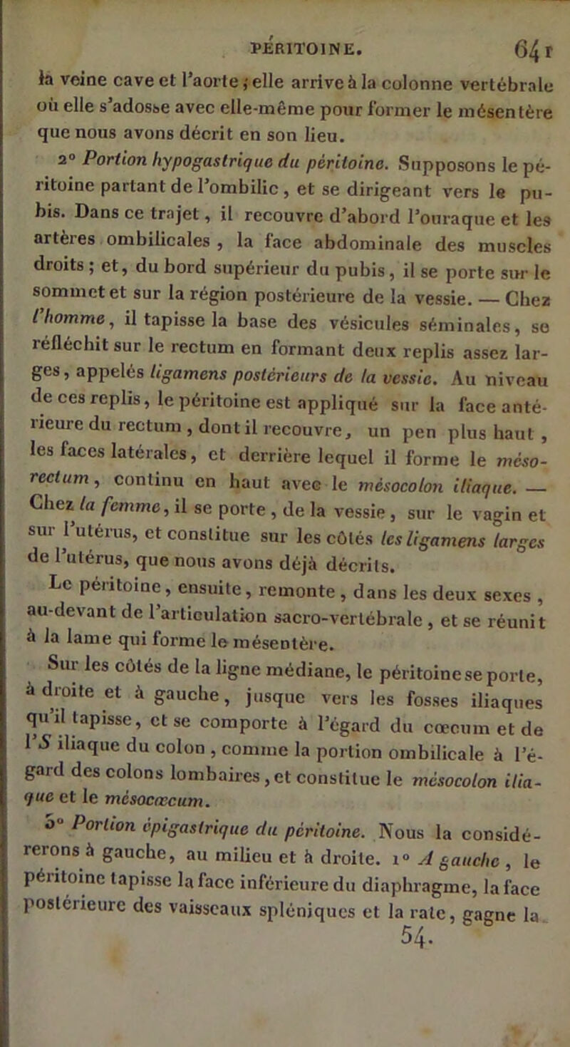 PÉRITOINE. 64 r la veine cave et l’aorte,'elle arrive à la colonne vertébrale où elle s’adosse avec elle-même pour l'ormer le mésentère que nous avons décrit en son lieu. 2» Portion hypogastrique du péritoine. Supposons le pé- ritoine partant de l’ombilic, et se dirigeant vers le pu- bis. Dans ce trajet, il recouvre d’abord l’ouraque et les artères ombilicales , la face abdominale des muscles droits ; et, du bord supérieur du pubis, il se porte sm- le sommet et sur la région postérieure de la vessie. — Chez l homme, il tapisse la base des vésicules séminales, se rélléchitsur le rectum en formant deux replis assez lar- ges, appelés tigamens postérieurs de ta vessie. Au niveau de ces replis, le péritoine est .appliqué sur la face anté- rieure du rectum , dont il recouvre, un pen plus haut , les faces latérales, et derrière lequel il forme le méso- rectum , continu en haut avec le mésocolon iliaque. Chez la femme, il se porte , de la vessie , sur le vagin et sur l’utérus, et constitue sur les côtés lesligamens larges de l’utérus, que nous avons déjà décrits. Le péritoine, ensuite, remonte, dans les deux se.xes , au-devant de l’arliGulation sacro-vertébrale , et se réunit à la lame qui forme le mésentère. Sur les côtés de la ligne médiane, le péritoine se porte, à droite et à gauche, jusque vers les fosses iliaques qu’il tapisse, et se comporte à l’égard du cæcum et de l’5 iliaque du colon , comme la portion ombilicale à l’é- gard des colons lombaires, et constitue le mésocolon ilia- <fu6 et le Tnésocœcum» O Portion épigastrique du péritoine. Nous la considé- rerons à gauche, au milieu et k droite, i» yl gauche , le péritoine tapisse la face inférieure du diaphragme, la face postérieure des vaisseaux spléniques et la rate, gagne la 54.