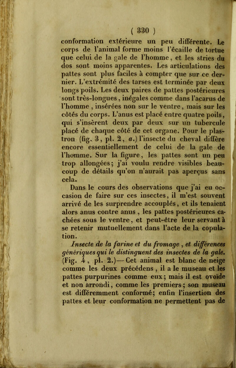 conformation extérieure un peu différente. Le corps de l’animal forme moins l’écaille de tortue que celui de la gale de l’homme, et les stries du cîos sont moins apparentes. Les articulations des pattes sont plus faciles à compter que sur ce der- nier. L’extrémité des tarses est terminée par deux longs poils. Les deux paires de pattes postérieures sont très-longues, inégales comme dans l’acarus de l’homme , insérées non sur le ventre, mais sur les côtés du corps. L’anus est placé entre quatre poils, qui s’insèrent deux par deux sur un tubercule placé de chaque côté de cet organe. Pour le plas- tron (fig. 3, pl. 2, a.) l’insecte du cheval diffère encore essentiellement de celui de la gale de l’homme. Sur la figure, les pattes sont un peu trop allongées; j’ai voulu rendre visibles beau- coup de détails qu’on n’aurait pas aperçus sans cela. Dans le cours des observations que j’ai eu oc- casion de faire sur ces insectes, il m’est souvent arrivé de les surprendre accouplés, et ils tenaient alors anus contre anus , les pattes postérieures ca- chées sous le ventre, et peut-être leur servant à se retenir mutuellement dans l’acte de la copula- tion. Insecte de la farine et du fromage , et différences génériques qui le distinguent des insectes de la gale. (Fig. A , pl. 2.)—Cet animal est blanc de neige comme les deux précédens , il a le museau et les pattes purpurines comme eux ; mais il est ovoïde et non arrondi, comme les premiers ; son museau est différemment conformé; enfin l’insertion des pattes et leur conformation ne permettent pas de