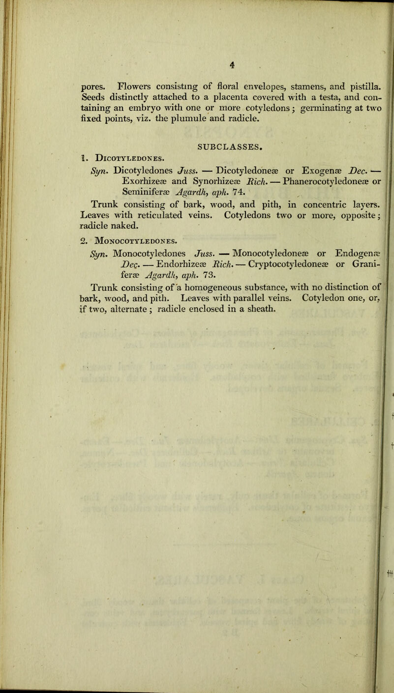 pores. Flowers consisting of floral envelopes, stamens, and pistilla. Seeds distinctly attached to a placenta covered with a testa, and con- taining an embryo with one or more cotyledons; germinating at two fixed points, viz. the plumule and radicle. SUBCLASSES. 1. Dicotyledones. Syn. Dicotyledones Juss. — Dicotyledoneae or Exogenae Dec. — Exorhizeae and Synorhizeae Mich. — Phanerocotyledoneae or Seminiferae Agardh, aph. 74. Trunk consisting of bark, wood, and pith, in concentric layers. Leaves with reticulated veins. Cotyledons two or more, opposite; radicle naked. 2. Monocotyledones. Syn. Monocotyledones Juss. — Monocotyledoneae or Endogenre Dec Endorhizeae Rich. — Cryptocotyledonea? or Grani- ferae Agardh, aph. 73. Trunk consisting of a homogeneous substance, with no distinction of bark, wood, and pith. Leaves with parallel veins. Cotyledon one, or, if two, alternate ; radicle enclosed in a sheath.