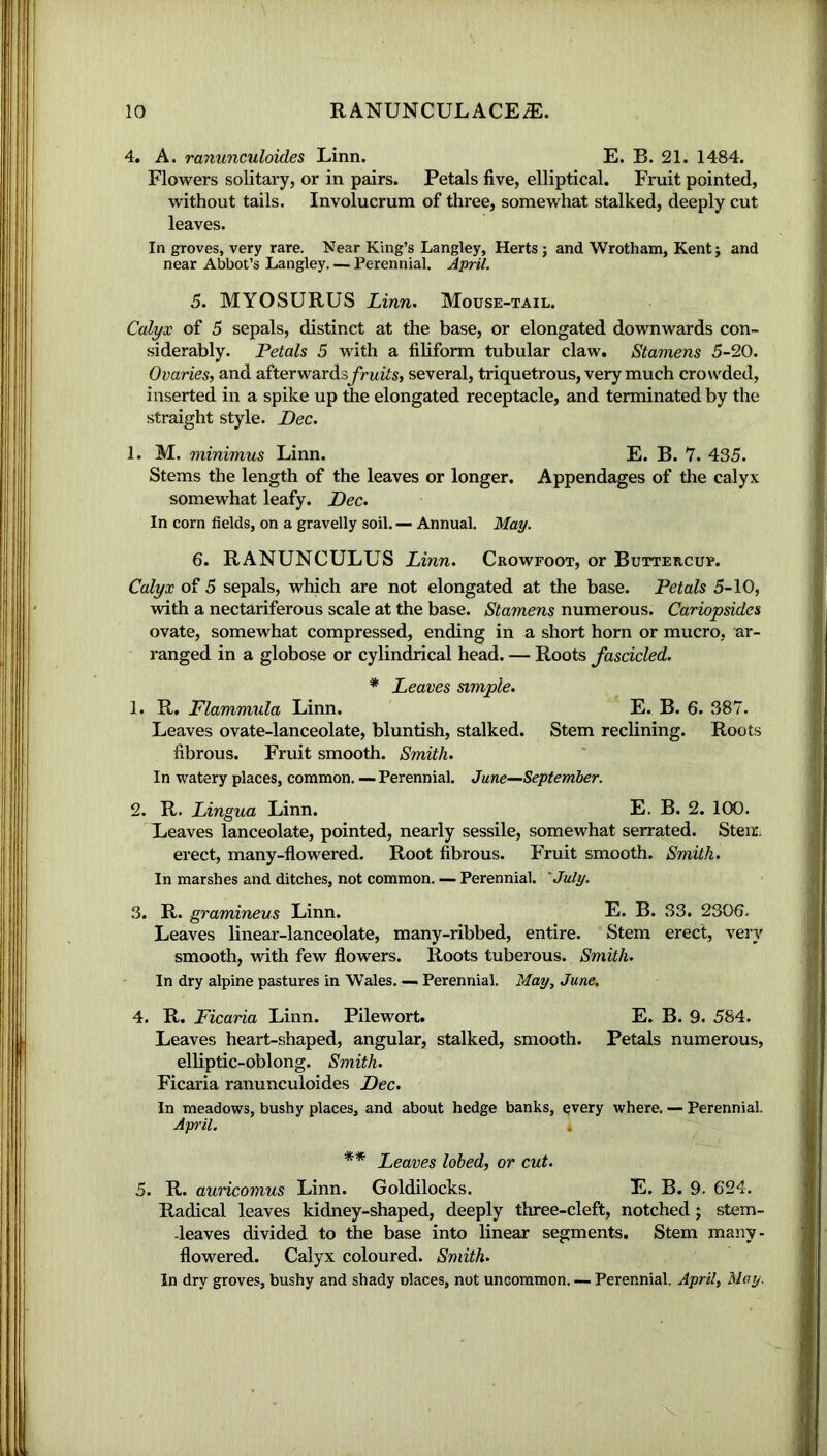 4. A. ranunculoides Linn. E. B. 21. 1484. Flowers solitary, or in pairs. Petals five, elliptical. Fruit pointed, without tails. Involucrum of three, somewhat stalked, deeply cut leaves. In groves, very rare. Near King’s Langley, Herts j and Wrotham, Kent j and near Abbot’s Langley. — Perennial. April. 5. MYOSURUS Linn. Mouse-tail. Calyx of 5 sepals, distinct at the base, or elongated downwards con- siderably. Petals 5 with a filiform tubular claw. Stamens 5-20. Ovaries, and afterwardsyrtt^s, several, triquetrous, very much crowded, inserted in a spike up the elongated receptacle, and terminated by the straight style. Dec. 1. M. minimus Linn. E. B. 7. 435. Stems the length of the leaves or longer. Appendages of the calyx somewhat leafy. Dec. In corn fields, on a gravelly soil. — Annual. May. 6. RANUNCULUS Linn. Crowfoot, or Buttercup. Calyx of 5 sepals, which are not elongated at the base. Petals 5-10, with a nectariferous scale at the base. Stamens numerous. Cariopsidcs ovate, somewhat compressed, ending in a short horn or mucro, ar- ranged in a globose or cylindrical head. — Roots fascicled. * Leaves simple. 1. R. Flammula Linn. E. B. 6. 387. Leaves ovate-lanceolate, bluntish, stalked. Stem reclining. Roots fibrous. Fruit smooth. Smith. In watery places, common. —Perennial. June—September. 2. R. Lingua Linn. E. B. 2. 100. Leaves lanceolate, pointed, nearly sessile, somewhat serrated. Stem erect, many-flowered. Root fibrous. Fruit smooth. Smith. In marshes and ditches, not common. — Perennial. ‘ July. 3. R. gramineus Linn. E. B. 33. 2306. Leaves linear-lanceolate, many-ribbed, entire. Stem erect, very smooth, with few flowers. Roots tuberous. Smith. In dry alpine pastures in Wales Perennial. May, June. 4. R. Ficaria Linn. Pilewort. E. B. 9. 584. Leaves heart-shaped, angular, stalked, smooth. Petals numerous, elliptic-oblong. Smith. Ficaria ranunculoides Dec. In meadows, bushy places, and about hedge banks, every where. — Perennial. April. , ** Leaves lobed, or cut. 5. R. auricomus Linn. Goldilocks. E. B. 9. 624. Radical leaves kidney-shaped, deeply three-cleft, notched; stem- -leaves divided to the base into linear segments. Stem many- flowered. Calyx coloured. Smith. In dry groves, bushy and shady olaces, not uncommon. — Perennial. April, May.
