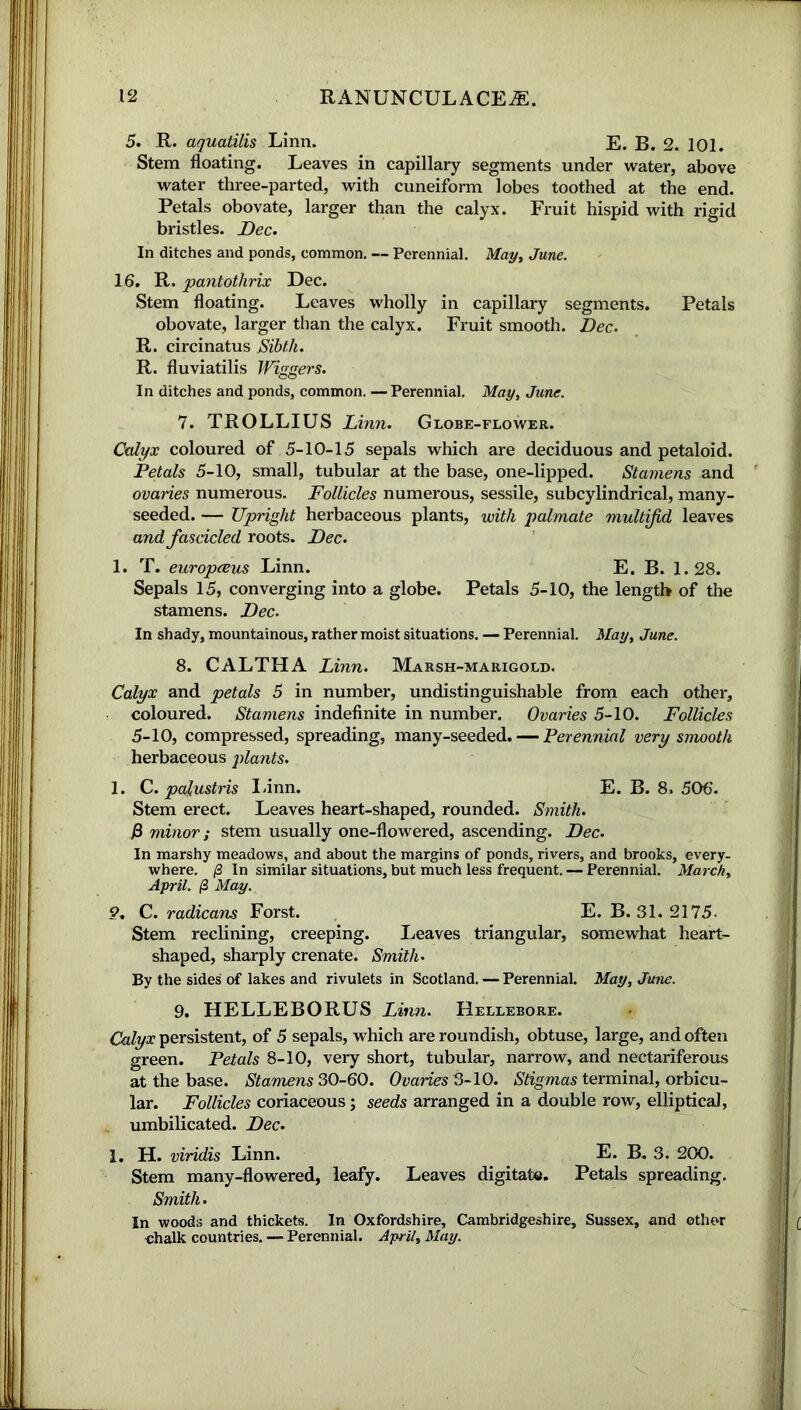 5. R. aquatilis Linn. E. B. 2. 101. Stem floating. Leaves in capillary segments under water, above water three-parted, with cuneiform lobes toothed at the end. Petals obovate, larger than the calyx. Fruit hispid with rigid bristles. Dec. In ditches and ponds, common. — Perennial. May, June. 16. R. pantotlirix Dec. Stem floating. Leaves wholly in capillary segments. Petals obovate, larger than the calyx. Fruit smooth. Dec. R. circinatus Sibth. R. fluviatilis Wiggers. In ditches and ponds, common. —Perennial. May, June. 7. TROLLIUS Linn. Globe-flower. Calyx coloured of 5-10-15 sepals which are deciduous and petaloid. Petals 5-10, small, tubular at the base, one-lipped. Stamens and ovaries numerous. Follicles numerous, sessile, subcylindrical, many- seeded. — Upright herbaceous plants, with palmate multifid leaves and fascicled roots. Dec. 1. T. europeeus Linn. E. B. 1.28. Sepals 15, converging into a globe. Petals 5-10, the length of the stamens. Dec. In shady, mountainous, rather moist situations. — Perennial. May, June. 8. CALTHA Linn. Marsh-marigold. Calyx and petals 5 in number, undistinguishable from each other, coloured. Stamens indefinite in number. Ovaries 5-10. Follicles 5-10, compressed, spreading, many-seeded. — Perennial very smooth herbaceous plants. 1. C. palustris I-inn. E. B. 8. 506. Stem erect. Leaves heart-shaped, rounded. Smith. J3 minor; stem usually one-flowered, ascending. Dec. In marshy meadows, and about the margins of ponds, rivers, and brooks, every- where. /3 In similar situations, but much less frequent. — Perennial. March, April, May. 9. C. radicans Forst. E. B. 31. 2175- Stem reclining, creeping. Leaves triangular, somewhat heart- shaped, sharply crenate. Smith• By the sides of lakes and rivulets in Scotland. — Perennial. May, June. 9. HELLEBORUS Linn. Hellebore. Calyx persistent, of 5 sepals, which are roundish, obtuse, large, and often green. Petals 8-10, very short, tubular, narrow, and nectariferous at the base. Stamens 30-60. Ovaries 3-10. Stigmas terminal, orbicu- lar. Follicles coriaceous; seeds arranged in a double row, elliptical, umbilicated. Dec. 1. H. viridis Linn. E. B. 3. 200. Stem many-flowered, leafy. Leaves digitate. Petals spreading. Smith. In woods and thickets. In Oxfordshire, Cambridgeshire, Sussex, and other chalk countries. — Perennial. April, May.