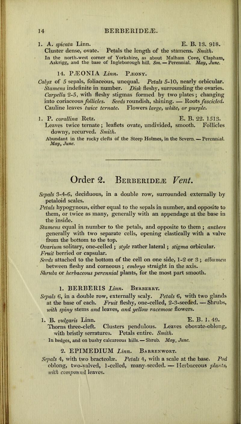 1. A. spicata Linn. E. B. IS. 918. Cluster dense, ovate. Petals the length of the stamens. Smith. In the north-west corner of Yorkshire, as about Malham Cove, Clapham, Askrigg, and the base of Ingleborough hill. Sm. — Perennial. May, June. 14. PAL ONI A Linn. Pasony. Calyx of 5 sepals, foliaceous, unequal. Petals 5-10, nearly orbicular. Stamens indefinite in number. Disk fleshy, surrounding the ovaries. Carpella 2-5, with fleshy stigmas formed by two plates; changing into coriaceous follicles. Seeds roundish, shining. — Hoots fascicled. Cauline leaves twice temate. Flowers large, white, or purple. 1. P. corallina Retz. E. B. 22. 1513. Leaves twice ternate; leaflets ovate, undivided, smooth. Follicles downy, recurved. Smith. Abundant in the rocky clefts of the Steep Holmes, in the Severn. — Perennial. May, June. Order 2. Berberide^e Vent. Sepals 3-4-6, deciduous, in a double row, surrounded externally by petaloid scales. Petals hypogynous, either equal to the sepals in number, and opposite to them, or twice as many, generally with an appendage at the base in the inside. Stamens equal in number to the petals, and opposite to them ; anthers generally with two separate cells, opening elastically with a valve from the bottom to the top. Ovarium solitary, one-celled ; style rather lateral; stigma orbicular. Fruit berried or capsular. Seeds attached to the bottom of the cell on one side, 1-2 or 3 ; albumen between fleshy and corneous ; embryo straight in the axis. Shrubs or herbaceous perennial plants, for the most part smooth. 1. BERBERIS Linn. Berberry. Sepals 6, in a double row, externally scaly. Petals 6, with two glands at the base of each. Fruit fleshy, one-celled, 2-3-seeded. — Shrubs, with spiny stems and leaves, and yellow racemose flowers. 1. B. vulgaris Linn. E. B. 1.49. Thorns three-cleft. Clusters pendulous. Leaves obovate-oblong, with bristly serratures. Petals entire. Smith. In hedges, and on bushy calcareous hills. — Shrub. May, June. 2. EPIMEDIUM Linn. Barrenwort. Sepals 4, with two bracteolae. Petals 4, with a scale at the base. Pod oblong, two-valved, 1-celled, many-seeded. — Herbaceous plants, with compound leaves.