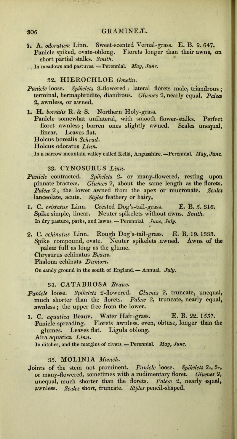 1. A. odoratum Linn. Sweet-scented Vernal-grass. E. B. 9. 647. Panicle spiked, ovate-oblong. Florets longer than their awns, on short partial stalks. Smith. In meadows and pastures. — Perennial. May, June. 32. HIEROCHLOE Gmelin. Panicle loose. Spikelets 3-flowered : lateral florets male, triandrous ; terminal, hermaphrodite, diandrous. Glumes 2, nearly equal. Palees 2, awnless, or awned. 1. H. borealis R. & S. Northern Holy-grass. Panicle somewhat unilateral, with smooth flower-stalks. Perfect floret awnless; barren ones slightly awned. Scales unequal, linear. Leaves flat. Holcus borealis Schrad. Holcus odoratus Linn. _ In a narrow mountain valley called Kella, Angusshire. —Perennial. May, June. 33. CYNOSURUS Linn. Panicle contracted. Spikelets 2- or many-flowered, resting upon pinnate bracteae. Glumes 2, about the same length as the florets. Palees 2; the lower awned from the apex or mucronate. Scales lanceolate, acute. Styles feathery or hairy. 1. C. cristatus Linn. Crested Dog’s-tail-grass. E. B. 5. 316. Spike simple, linear. Neuter spikelets without awns. Smith. In dry pasture, parks, and lawns. — Perennial. June, July. 2. C. echinatus Linn. Rough Dog’s-tail-grass. E. B. 19.1333. Spike compound, ovate. Neuter spikelets awned. Awns of the paleae full as long as the glume. Chrysurus echinatus Beauv. Phalona echinata JDumort. On sandy ground in the south of England. — Annual. July. 34. CATABROSA Beauv. Panicle loose. Spikelets 2-flowered. Glumes 2, truncate, unequal, much shorter than the florets. Palees 2, truncate, nearly equal, awnless ; the upper free from the lower. 1. C. aquatica Beauv. Water Hair-grass. E. B. 22. 1557. Panicle spreading. Florets awnless, even, obtuse, longer than the glumes. Leaves flat. Ligula oblong. Aira aquatica Linn. In ditches, and the margins of rivers. — Perennial. May, June. 35. MOLINIA Mcench. Joints of the stem not prominent. Panicle loose. Spikelets 2-, 3-, or many-flowered, sometimes with a rudimentary floret. Glumes 2, unequal, much shorter than the florets. Palees 2, nearly equal, awnless. Scales short, truncate. Styles pencil-shaped.